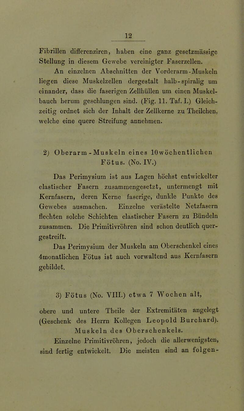 Fibrillen differenziren, haben eine ganz gesetzmässige Stellung in diesem Gewebe vereinigter Faserzellen. An einzelnen Abschnitten der Vorderarm-Muskeln liegen diese Muskelzellen dergestalt halb-spiralig um einander, dass die faserigen Zellhüllen um einen Muskel- bauch herum geschlungen sind. (Fig. 11. Taf. I.) Gleich- zeitig ordnet sich der Inhalt der Zellkerne zu Theilchen, welche eine quere Streifung annehmen. 2) Oberarm-Muskeln eines 10wöchentlichen Fötus. (No. IV.) Das Perimysium ist aus Lagen höchst entwickelter elastischer Fasern zusammengesetzt, untermengt mit Kernfasern, deren Kerne faserige, dunkle Punkte des Gewebes ausmachen. Einzelne verästelte Netzfasern flechten solche Schichten elastischer Fasern zu Bündeln zusammen. Die Primitivröhren sind schon deutlich quer- gestreift. Das Perimysium der Muskeln am Oberschenkel eines 4monatlichen Fötus ist auch vorwaltcnd aus Kernfasern gebildet. 3) Fötus (No. VIII.) etwa 7 Wochen alt, obere und untere Theile der Extremitäten angelegt (Geschenk des Herrn Kollegen Leopold Burchard). Muskeln des Oberschenkels. Einzelne Primitivröhren, jedoch die allerwenigsten, sind fertig entwickelt. Die meisten sind an folgen-