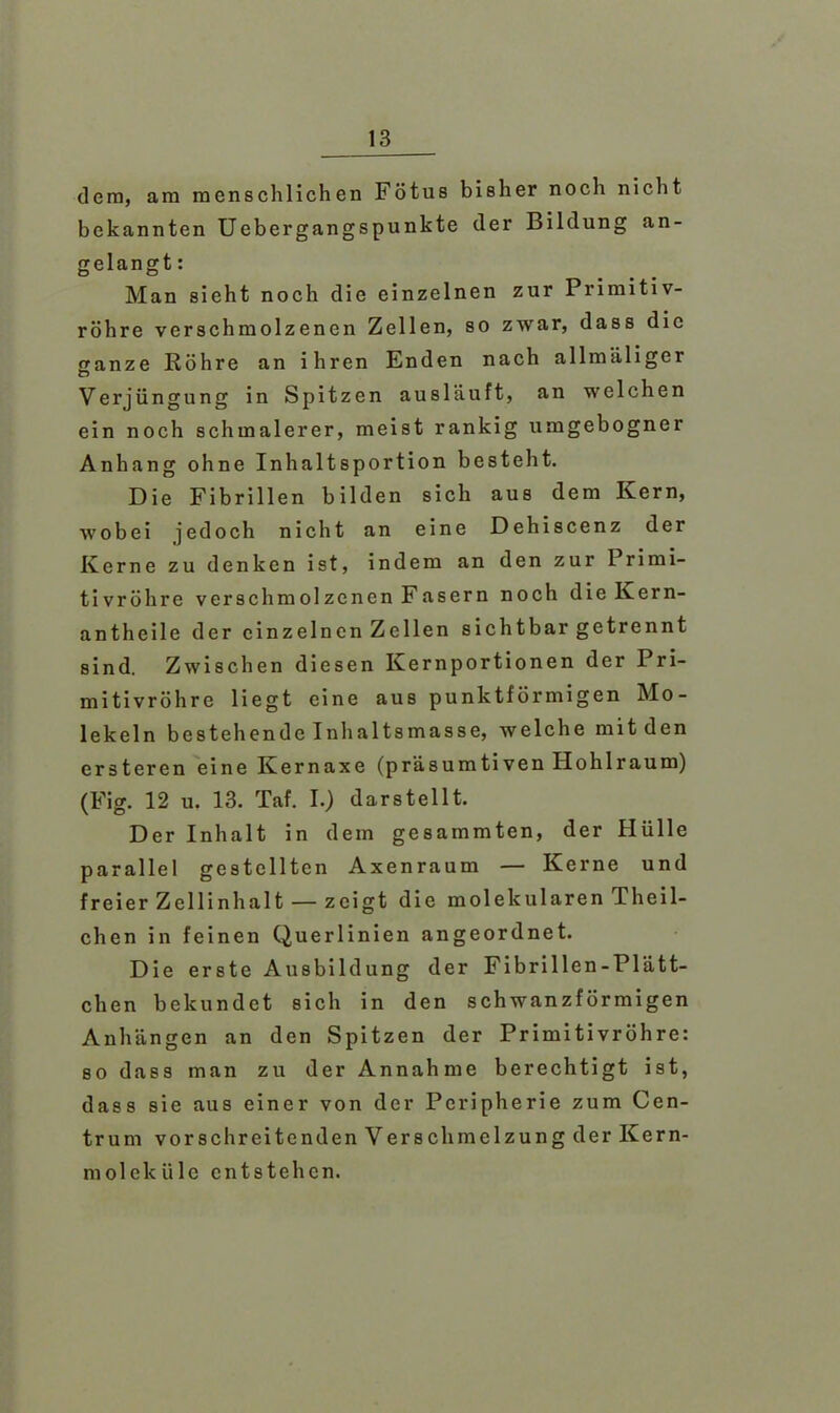 dem, am menschlichen Fötus bisher noch nicht bekannten Uebergangspunkte der Bildung an- gelangt : Man sieht noch die einzelnen zur Primitiv- röhre verschmolzenen Zellen, so zwar, dass die rranze Röhre an ihren Enden nach allmäliger Verjüngung in Spitzen ausläuft, an welchen ein noch schmalerer, meist rankig umgebogner Anhang ohne Inhaltsportion besteht. Die Fibrillen bilden sich aus dem Kern, wobei jedoch nicht an eine Dehiscenz der Kerne zu denken ist, indem an den zur 1 rimi- tivröhre verschmolzenen Fasern noch dieKern- antheile der einzelnen Zellen sichtbar getrennt sind. Zwischen diesen Kernportionen der Pri- mitivröhre liegt eine aus punktförmigen Mo- lekeln bestehende Inhaltsmasse, welche mitden ersteren eine Kernaxe (präsumtiven Hohlraum) (Fig. 12 u. 13. Taf. I.) dar st eilt. Der Inhalt in dem gesammten, der Hülle parallel gestellten Axenraum — Kerne und freier Zellinhalt — zeigt die molekularen Th ei 1- chen in feinen Querlinien angeordnet. Die erste Ausbildung der Fibrillen-Plätt- chen bekundet sich in den schwanzförmigen Anhängen an den Spitzen der Primitivröhre: so dass man zu der Annahme berechtigt ist, dass sie aus einer von der Peripherie zum Cen- trum vorsch reiten den V erschmelzung der K er n- molelcüle entstehen.