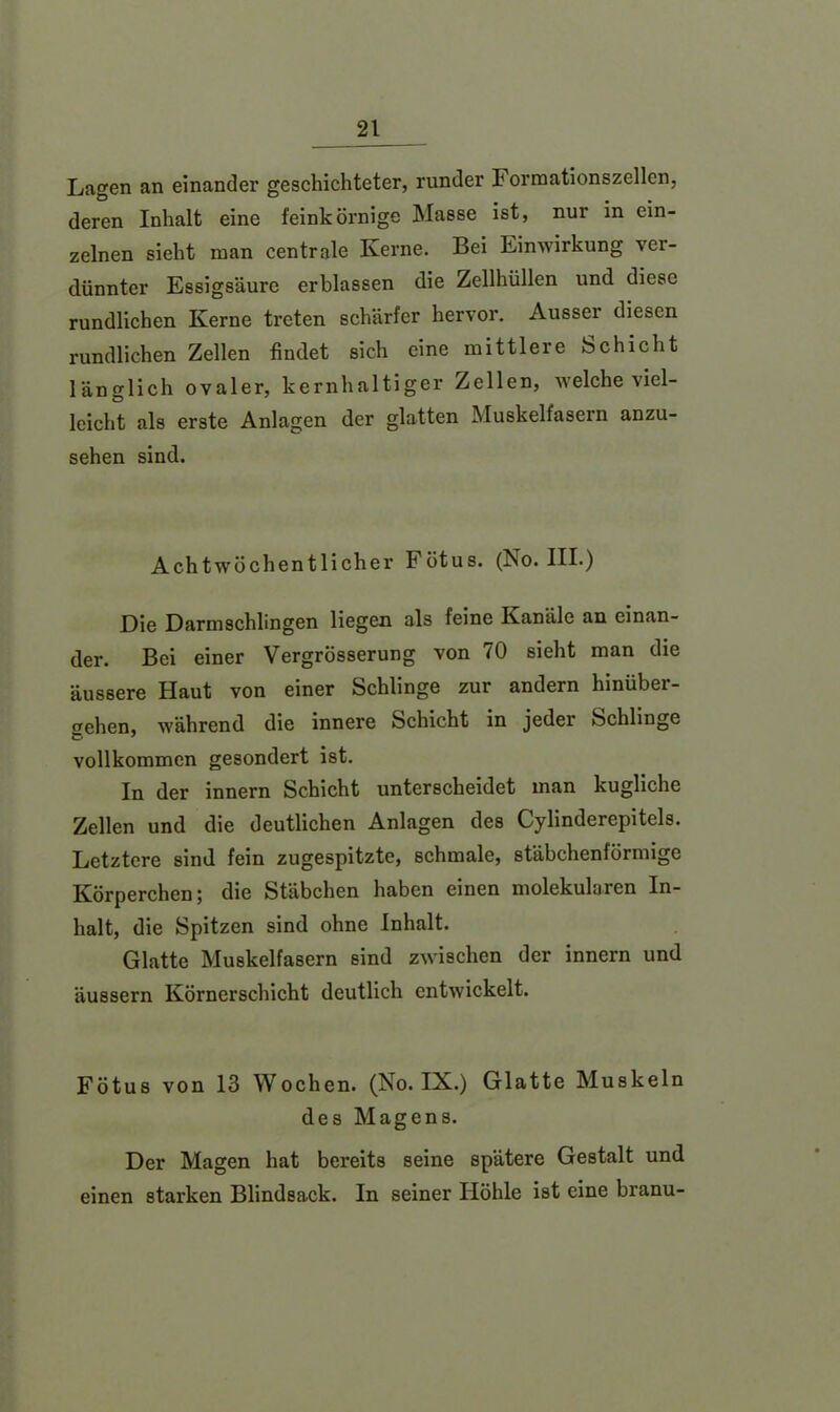 Lagen an einander geschichteter, runder Forraationszellen, deren Inhalt eine feinkörnige Masse ist, nur in ein- zelnen sieht man centrale Kerne. Bei Einwirkung ver- dünnter Essigsäure erblassen die Zellhüllen und diese rundlichen Kerne treten schärfer hervor. Ausser diesen rundlichen Zellen findet sich eine mittlere Schicht länglich ovaler, kernhaltiger Zellen, welche viel- leicht als erste Anlagen der glatten Muskelfasern anzu- sehen sind. Achtwöchentlicher Fötus. (No. III.) Die Darmschlingen liegen als feine Kanäle an einan- der. Bei einer Vergrösserung von 70 sieht man die äussere Haut von einer Schlinge zur andern hinüber- trehen, während die innere Schicht in jeder Schlinge vollkommen gesondert ist. In der innern Schicht unterscheidet man kugliche Zellen und die deutlichen Anlagen des Cylinderepitels. Letztere sind fein zugespitzte, schmale, stäbchenförmige Körperchen; die Stäbchen haben einen molekularen In- halt, die Spitzen sind ohne Inhalt. Glatte Muskelfasern sind zwischen der innern und äussern Körnerschicht deutlich entwickelt. Fötus von 13 Wochen. (No. IX.) Glatte Muskeln des Magens. Der Magen hat bereits seine spätere Gestalt und einen starken Blindsack. In seiner Höhle ist eine branu-