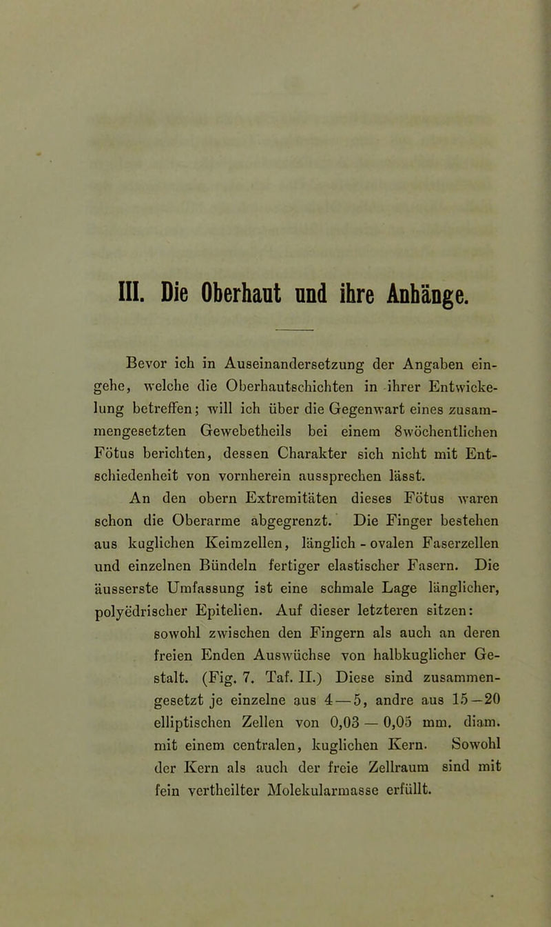III. Die Oberhaut und ihre Anhänge. Bevor ich in Auseinandersetzung der Angaben ein- gehe, welche die Oberhautschichten in ihrer Entwicke- lung betreffen; will ich über die Gegenwart eines zusam- mengesetzten Gewebetheils bei einem 8wöchentlichen Fötus berichten, dessen Charakter sich nicht mit Ent- schiedenheit von vornherein aussprechen lässt. An den obern Extremitäten dieses Fötus waren schon die Oberarme abgegrenzt. Die Finger bestehen aus kuglichen Keimzellen, länglich - ovalen Faserzellen und einzelnen Bündeln fertiger elastischer Fasern. Die äusserste Umfassung ist eine schmale Lage länglicher, polyedrischer Epitelien. Auf dieser letzteren sitzen: sowohl zwischen den Fingern als auch an deren freien Enden Auswüchse von halbkuglicher Ge- stalt. (Fig. 7. Taf. II.) Diese sind zusammen- gesetzt je einzelne aus 4 — 5, andre aus 15—20 elliptischen Zellen von 0,03 — 0,05 mm. diam. mit einem centralen, kuglichen Kern. Sowohl der Kern als auch der freie Zellraum sind mit fein vertheilter Molekularmasse erfüllt.