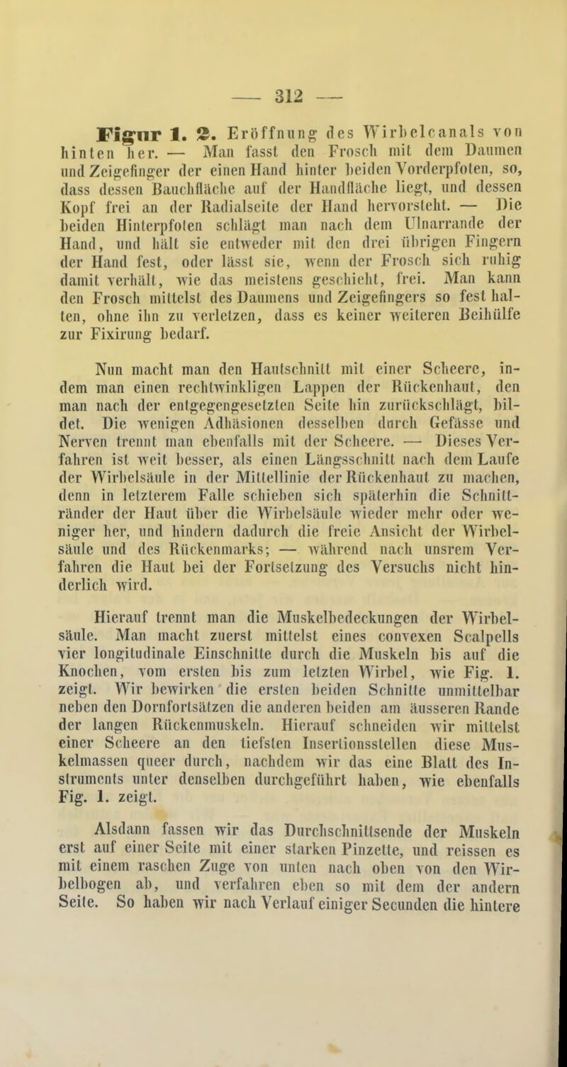 Figur 1. £. Eröffnung des Wirbelcanals von hinten her. — Man fasst den Frosch mit dem Daumen and Zeigefinger der einen Hand hinter beiden Vorderpfoten, so, dass dessen Bauchfläche auf der Handfläche liegt, und dessen Kopf frei an der Radialseile der Hand hervorsieht, — Die beiden Hinterpfoten schlagt man nach dem ülnarrande der Hand, und hält sie entweder mit den drei übrigen Fingern der Hand fest, oder lässt sie, wenn der Frosch sich ruhig damit verhält, wie das meistens geschieht, frei. Man kann den Frosch mittelst des Daumens und Zeigefingers so fest hal- ten, ohne ihn zu verletzen, dass es keiner weiteren Beihülfe zur Fixirung bedarf. Nun macht man den Hautschnitt mit einer Scheere, in- dem man einen rechtwinkligen Lappen der Kückenhaut, den man nach der entgegengesetzten Seite hin zurückschlägt, bil- det. Die wenigen Adhäsionen desselben durch Gefässe und Nerven trennt man ebenfalls mit der Scheere. — Dieses Ver- fahren ist weit besser, als einen Längsschnitt nach dem Laufe der Wirbelsäule in der Mittellinie der Rückenhaut zu machen, denn in letzterem Falle schieben sich späterhin die Schnitt- ränder der Haut über die Wirbelsäule wieder mehr oder we- niger her, und hindern dadurch die freie Ansicht der Wirbel- säule und des Rückenmarks; — während nach unsrem Ver- fahren die Haut bei der Fortsetzung des Versuchs nicht hin- derlich wird. Hierauf trennt man die Muskelbedeckungen der Wirbel- säule. Man macht zuerst mittelst eines convexen Scalpells vier longitudinale Einschnitte durch die Muskeln bis auf die Knochen, vom ersten bis zum letzten Wirbel, wie Fig. 1. zeigt, Wir bewirken die ersten beiden Schnitte unmittelbar neben den Dornforlsätzen die anderen beiden am äusseren Rande der langen Rückcnmuskcln. Hierauf schneiden wir mittelst einer Scheere an den tiefsten Inserlionsslellcn diese Mus- kelmassen queer durch, nachdem wir das eine Blatt des In- struments unter denselben durchgeführt haben, wie ebenfalls Fig. 1. zeigt. Alsdann fassen wir das Durchsclinillsende der Muskeln erst auf einer Seile mit einer starken Pinzette, und reissen es mit einem raschen Zuge von unten nach oben von den Wir- belbogen ab, und verfahren eben so mit dem der andern Seile. So haben wir nach Verlauf einiger Secunden die hintere