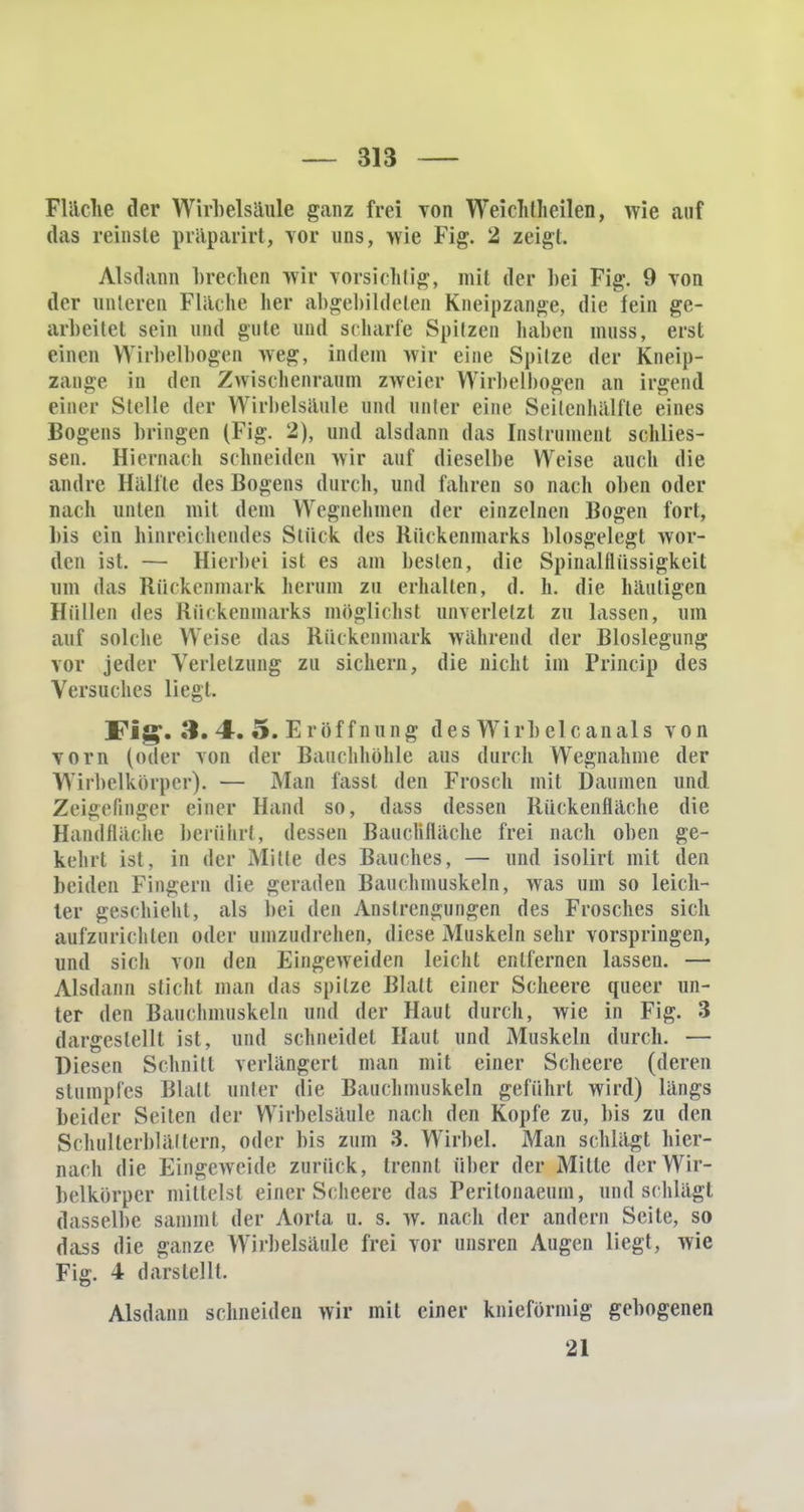 Fläche der Wirbelsäule ganz frei Ton Weiclillieilen, wie auf das reinste präparirt, vor uns, wie Fig. 2 zeigt. Alsdann brechen wir vorsichtig, mit der bei Fig. 9 von der unteren Flache her abgebildeten Kneipzange, die fein ge- arbeitet sein und gute und scharte Spitzen haben muss, erst einen Wirbelbogeo weg, indem wir eine Spitze der Kneip- zange in den Zwischenraum zweier Wirbelbogen an irgend einer Stelle der Wirbelsäule und unter eine Seitenhälfte eines Bogens bringen (Fig. 2), und alsdann das Instrument schlies- sen. Hiernach schneiden wir auf dieselbe Weise auch die andre Hälfte des Bogens durch, und fahren so nach oben oder nach unten mit dem Wegnehmen der einzelnen Bogen fort, bis ein hinreichendes Stück des Rückenmarks blosgelegt wor- den ist. — Hierbei ist es am besten, die Spinalflüssigkeit um das Rückenmark herum zu erhalten, d. h. die häutigen Hüllen des Rückenmarks möglichst unverletzt zu lassen, um auf solche Weise das Rückenmark während der Bloslegung vor jeder Verletzung zu sichern, die nicht im Princip des Versuches liegt. I?ig. 3. 4-. 5. Eröffnung des Wirbelcanals von vorn (oder von der Bauchhöhle aus durch Wegnahme der Wirbelkörper). — Man fasst den Frosch mit Daumen und Zeigefinger einer Hand so, dass dessen Rückenfläche die Handfläche berührt, dessen Baachfläche frei nach oben ge- kehrt ist, in der Mitte des Bauches, — und isolirl mit den beiden Fingern die geraden Bauchmuskeln, was um so leich- ter geschieht, als bei den Anstrengungen des Frosches sich aufzurichten oder umzudrehen, diese Muskeln sehr vorspringen, und sich von den Eingeweiden leicht entfernen lassen. — Alsdann stiehl man das spitze Blatt einer Scheere queer un- ter den Bauchmuskeln und der Haut durch, wie in Fig. 3 dargestellt ist, und schneidet Haut und Muskeln durch. — Diesen Schnitt verlängert man mit einer Scheere (deren stumpfes Blatt anter die Bauchmuskeln geführt wird) längs beider Seiten der Wirbelsäule nach den Kopfe zu, bis zu den Schulterblättern, oder bis zum 3. Wirbel. Man schlägt hier- nach die Eingeweide zurück, trennt über der Mitte derWir- belkörper mittelst einer Scheere das Peritonaeum, und schlägt dasselbe samml der Aorta u. s. w. nach der andern Seite, so dass die ganze Wirbelsäule frei vor unsren Augen liegt, wie Fig. 4 darstellt. Alsdann schneiden wir mit einer knieförmig gebogenen 21