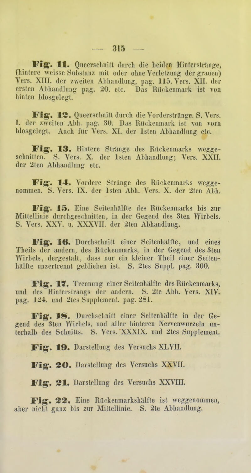 Fit?. H» Quecrschnilt durch die linden Hinterslränge, (hintere weisse Substanz mil oder ohne Verletzung der grauen) Vers. XIII. der zweiten Abhandlung, pag. 115. Vers. XII. der ersten Abhandlung pag. 20. etc. Das Rückenmark ist von hinten bloßgelegt. Fig. 12. Queersehnilt durch die Vorderstrange. S. Vers. I. der zweiten Abh. pag. 30. Das Rückenmark ist von vorn biosgelegt. Auch für Vers. XI. der lslen Abhandlung etc. Fig. 13. Hintere Stränge des Rückenmarks wegge- schnitten. S. Vers. X. der lsten Abhandlung; Vers. XXII. der 2ten Abhandlung etc. Fig'. 14. Vordere Stränge des Rückenmarks wegge- nommen. S. Vers. IX. der lslen Abh. Vers. X. der 2ten Abh. Fig. 15. Eine Seitenhälfte des Rückenmarks bis zur Mittellinie durchgeschnitten, in der Gegend des 3len Wirbels. S. Vers. XXV. u. XXXVII. der 2ten Abhandlung. Fig. 16. Durchschnitt einer Seitenhälfte, und eines Theils der andern, des Rückenmarks, in der Gegend des 3len Wirbels, dergestalt, dass nur ein kleiner Theil einer Seilen- hälfte unzertrennt geblieben ist. S. 2tes Suppl. pag. 300. Filt. Trennung einer Seilenhälfte des Rückenmarks, und des Hinterstrangs der andern. S. 2te Abh. Vers. XIV. pag. 124. und 2les Supplement, pag. 281. Fig. 18. Durchschnitt einer Seitenhälfte in der Ge- gend des 3ten Wirbels, und aller hinteren Nervenwurzeln un- terhalb des Schnitts. S. Vers. XXXIX. und 2les Supplement. Fig1. 19. Darstellung des Versuchs XLVII. Fig. 20. Darstellung des Versuchs XXVII. Fig. 21. Darstellung des Versuchs XXVIII. Fig. 22. Eine Rückenmarkshälfte ist weggenommen, aber nicht ganz bis zur Mittellinie. S. 2te Abhandlung.