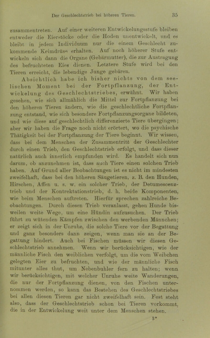 zusammentreten. Auf einer weiteren Entwickelungsstufe bleiben entweder die Eierstöcke oder die Hoden unentwickelt, und es bleibt in jedem Individuum nur die einem Geschlecht zu- kommende Keimdrüse erhalten. Auf noch höherer Stufe ent- wickeln sich dann die Organe (Gebärmutter), die zur Austragung des befruchteten Eies dienen. Letztere Stufe wird bei den Tieren erreicht, die lebendige Junge gebären. Absichtlich habe ich bisher nichts von dem see- lischen Moment bei der Fortpflanzung, der Ent- wickelung des Geschlechtstriebes, erwähnt. Wir haben gesehen, wie sich allmählich die Mittel zur Fortpflanzung bei den höheren Tieren ändern, wie die geschlechtliche Fortpflan- zung entstand, wie sich besondere Fortpflanzungsorgane bildeten, und w'ie diese auf geschlechtlich differenzierte Tiere übergingen; aber wir haben die Frage noch nicht erörtert, wo die psychische Thätigkeit bei der Fortpflanzung der Tiere beginnt. Wir wissen, dass bei dem Menschen der Zusammentritt der Geschlechter durch einen Trieb, den Geschlechtstrieb erfolgt, und dass dieser natürlich auch innerlich empfunden wird. Es handelt sich nun darum, ob anzunehmen ist, dass auch Tiere einen solchen Trieb haben. Auf Grund aller Beobachtungen ist es nicht im mindesten zweifelhaft, dass bei den höheren Säugetieren, z. B. den Hunden, Hirschen, Affen u. s. w. ein solcher Trieb, der Detumescenz- trieb und der Kontrektationstrieb, d. h. beide Komponenten, wie beim Menschen auftreten. Hierfür sprechen zahlreiche Be- obachtungen. Durch diesen Trieb veranlasst, gehen Hunde bis- weilen wreite Wege, um eine Hündin aufzusuchen. Der Trieb führt zu wütenden Kämpfen zwischen den werbenden Männchen; er zeigt sich in der Unruhe, die solche Tiere vor der Begattung und ganz besonders dann zeigen, wenn man sie an der Be- gattung hindert. Auch bei Fischen müssen wir diesen Ge- schlechtstrieb annehmen. Wenn wir berücksichtigen, wie der männliche Fisch den weiblichen verfolgt, um die vom Weibchen gelegten Eier zu befruchten, und wie der männliche Fisch mitunter alles thut, um Nebenbuhler fern zu halten; wenn wir berücksichtigen, mit welcher Unruhe weite Wanderungen, die nur der Fortpflanzung dienen, von den Fischen unter- nommen werden, so kann das Bestehen des Geschlechtstriebes bei allen diesen Tieren gar nicht zweifelhaft sein. Fest steht also, dass der Geschlechtstrieb schon bei Tieren vorkommt, die in der Entwickelung weit unter dem Menschen stehen. 3*