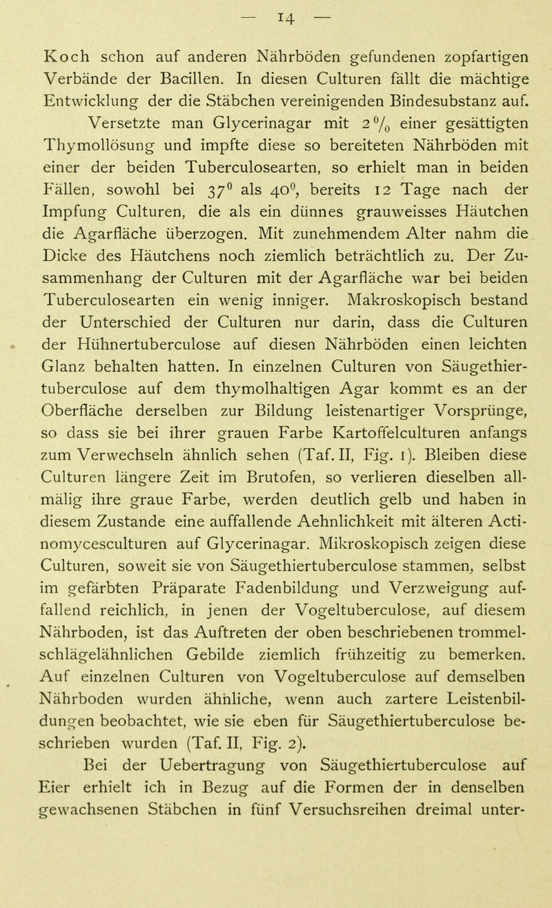 Koch schon auf anderen Nährböden gefundenen zopfartigen Verbände der Bacillen. In diesen Culturen fällt die mächtige Entwicklung der die Stäbchen vereinigenden Bindesubstanz auf. Versetzte man Glycerinagar mit 2 7o einer gesättigten ThymoUösung und impfte diese so bereiteten Nährböden mit einer der beiden Tuberculosearten, so erhielt man in beiden Fällen, sowohl bei 37^ als 40^^ bereits 12 Tage nach der Impfung Culturen, die als ein dünnes grauweisses Häutchen die Agarfläche überzogen. Mit zunehmendem Alter nahm die Dicke des Häutchens noch ziemlich beträchtlich zu. Der Zu- sammenhang der Culturen mit der Agarfläche war bei beiden Tuberculosearten ein wenig inniger. Makroskopisch bestand der Unterschied der Culturen nur darin, dass die Culturen der Hühnertuberculose auf diesen Nährböden einen leichten Glanz behalten hatten. In einzelnen Culturen von Säugethier- tuberculose auf dem thymolhaltigen Agar kommt es an der Oberfläche derselben zur Bildung leistenartiger Vorsprünge, so dass sie bei ihrer grauen Farbe Kartoffelculturen anfangs zum Verwechseln ähnlich sehen (Taf. II, Fig. i). Bleiben diese Culturen längere Zeit im Brutofen, so verlieren dieselben all- mälig ihre graue Farbe, werden deutlich gelb und haben in diesem Zustande eine auffallende Aehnlichkeit mit älteren Acti- nomycesculturen auf Glycerinagar. Mikroskopisch zeigen diese Culturen, soweit sie von Säugethiertuberculose stammen^ selbst im gefärbten Präparate Fadenbildung und Verzweigung auf- fallend reichlich, in jenen der Vogeltuberculose, auf diesem Nährboden, ist das Auftreten der oben beschriebenen trommel- schlägelähnlichen Gebilde ziemHch frühzeitig zu bemerken. Auf einzelnen Culturen von Vogeltuberculose auf demselben Nährboden wurden ähhHche, wenn auch zartere Leistenbil- dungen beobachtet, wie sie eben für Säugethiertuberculose be- schrieben wurden (Taf. II, Fig. 2). Bei der Uebertragung von Säugethiertuberculose auf Eier erhielt ich in Bezug auf die Formen der in denselben gewachsenen Stäbchen in fünf Versuchsreihen dreimal unter-