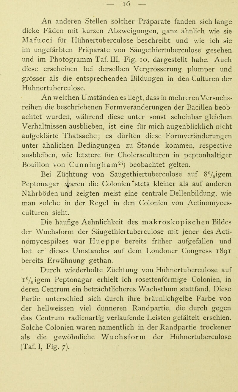 An anderen Stellen solcher Präparate fanden sich lange dicke Fäden mit kurzen Abzweigungen, ganz ähnlich wie sie Mafucci für Hühnertuberculose beschreibt und wie ich sie im ungefärbten Präparate von Säugethiertuberculose gesehen und im Photogramm Taf. III, Fig. lo, dargestellt habe. Auch diese erscheinen bei derselben Vergrösserung plumper und grösser als die entsprechenden Bildungen in den Culturen der Hühnertuberculose. An welchen Umständen es liegt, dass in mehreren Versuchs- reihen die beschriebenen Formveränderungen der Bacillen beob- achtet wurden, während diese unter sonst scheinbar gleichen Verhältnissen ausblieben, ist eine für mich augenblicklich nicht aufgeklärte Thatsache; es dürften diese Formveränderungen unter ähnlichen Bedingungen zu Stande kommen, respective ausbleiben, wie letztere für Choleraculturen in peptonhaltiger Bouillon von Cunningham-'j beobachtet gelten. Bei Züchtung von Säugethiertuberculose auf S^ig^m Peptonagar \yaren die Colonien *stets kleiner als auf anderen Nährböden und zeigten meist ,eine centrale Dellenbildung, wie man solche in der Regel in den Colonien von Actinomyces- culturen sieht. Die häufige AehnHchkeit des makroskopischen Bildes der Wuchsform der Säugethiertuberculose mit jener des Acti- nomycespilzes war Hueppe bereits früher aufgefallen und hat er dieses Umstandes auf dem Londoner Congress 1891 bereits Erwähnung gethan. Durch wiederholte Züchtung von Hühnertuberculose auf i^/(,igem Peptonagar erhielt ich rosettenförmige Colonien, in deren Centrum ein beträchtlicheres Wachsthum stattfand. Diese Partie unterschied sich durch ihre bräunlichgelbe Farbe von der hellweissen viel dünneren Randpartie, die durch gegen das Centrum radienartig verlaufende Leisten gefältelt erschien. Solche Colonien waren namentlich in der Randpartie trockener als die gewöhnHche Wuchsform der Hühnertuberculose (Taf. I, Fig. 7).