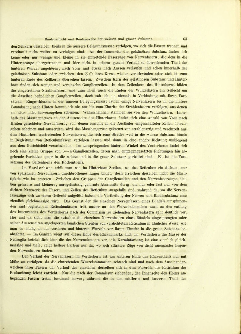 den Zellkern desselben, theils in die äussere Belegungsmasse verfolgen, wo sich die Fasern trennen und vereinzelt nicht weiter zu verfolgen sind. An der Innenseite der gelatinösen Substanz finden sich keine oder nur wenige und kleine in sie eintretende Faserzüge von Nervenfasern, die dem in die Hinterstränge übergetretenen und hier nicht in seinem ganzen Verlauf zu übersehenden Theil der hinteren Wurzel angehören, nach Vorn und etwas nach Aussen verlaufen und schon innerhalb der gelatinösen Substanz oder zwischen den O O ihres Kerns wieder verschwinden oder sich bis zum hinteren Ende des Zellkerns übersehen lassen. Zwischen Kern der gelatinösen Substanz und Hinter- horn finden sich wenige und vereinzelte Ganglienzellen. In dem Zellenkern des Hinterhorns bilden die eingetretenen Strahlenfasern und zum Theil auch die Enden der Wurzelfasern ein Geflecht um die daselbst befindlichen GangUenzellen, doch sah ich sie niemals in Verbindung mit ihren Fort- sätzen. Eingeschlossen in der inneren Belegungsmasse laufen einige Nervenfasern bis in die hintere Commissur; nach Hinten konnte ich sie nur bis zum Eintritt der Strahlenfasern verfolgen, aus denen sie aber nicht hervorzugehen scheinen. Wahrscheinlich stammen sie von den Wurzelfasern. Inner- halb des Maschennetzes an der Aussenseite des Hinterhoms findet sich eine Anzahl von Vorn nach Hinten gerichteter Nervenfasern, von denen einzelne in die Ausläufer eingeschalteter Zellen überzu- gehen scheinen und ausserdem wird das Maschengerüst gekreuzt von strahlenartig und vereinzelt aus dem Hinterhorn austretenden Nervenfasern, die sich eine Strecke weit in die weisse Substanz hinein in Begleitung von Reticulumfasern verfolgen lassen und dann in eine andere Richtung umbiegend aus dem Gesichtsfeld verschwinden. Im ausspringenden hinteren Winkel des Vorderhorns findet sich noch eine kleine Giuppe von 3—4 Ganglienzellen, deren nach entgegengesetzten Richtungen hin ab- gehende Fortsätze queer in die weisse und in die graue Substanz gerichtet sind. Es ist die Fort- setzung des Seitenhorns des Rückentheils. Im Vorderhorn trifft man wie im Hinterhorn Stellen, wo das Reticulum ein dichtes, nur von sparsamen Nervenfasern durchbrochenes Lager bildet, doch erreichen dieselben nicht die Mäch- tigkeit wie im ersteren. Zwischen den Gruppen der Ganglienzellen und den Nervenfaserzügen blei- ben grössere und kleinere, unregelmässig geformte Abschnitte übrig, die nur oder fast nur von dem dichten Netzwerk der Fasern und Zellen des Reticulum ausgefüllt sind, während da, wo die Nerven- faserzüge sich zu einem Geflecht aufgelöst haben, die Vertheilung der Nerven- und Bindesubstanz eine ziemlich gleichmässige wird. Das Gerüst der die einzelnen Nervenfasern eines Bündels umspinnen- den und begleitenden Reticulumfasern tritt ausser an den Wurzelstämmchen auch an den entlang des Innenrandes des Vorderhorns nach der Commissur zu ziehenden Nervenfasern sehr deutlich vor. Hie und da sieht man die zwischen die einzelnen Nervenfasern eines Bündels eingesprengten oder seiner Aussenseiten angelagerten länglichen Streifen von verdichtetem Reticulum in ähnlicher Weise, wie man es häufig an den vorderen und hinteren Wurzeln vor ihrem Eintritt in die graue Substanz be- obachtet. — Im Ganzen wiegt auf dieser Höhe des Rückenmarks auch im Vorderhorn die Masse der Neuroglia beträchtlich über die der Nervenelemente vor, die Karminfärbung ist eine ziemlich gleich- mässige und tiefe, zeigt hellere Partien nur da, wo sich stärkere Züge von dicht aneinander liegen- den Nervenfasern finden. Der Verlauf der Nervenfasern im Vorderhorn ist am unteren Ende des Rückentheils nur mit Mühe zu verfolgen, da die eintretenden Wurzelstämmchen schwach sind und nach dem Auseinander- weichen ihrer Fasern der Verlauf der einzelnen derselben sich in dem Faserfilz des Reticulum der Beobachtung leicht entzieht. Nur die nach der Commissur ziehenden, der Innenseite des Horns an- liegenden Fasern treten bestimmt hervor, während die in den mittleren und äusseren Theil des