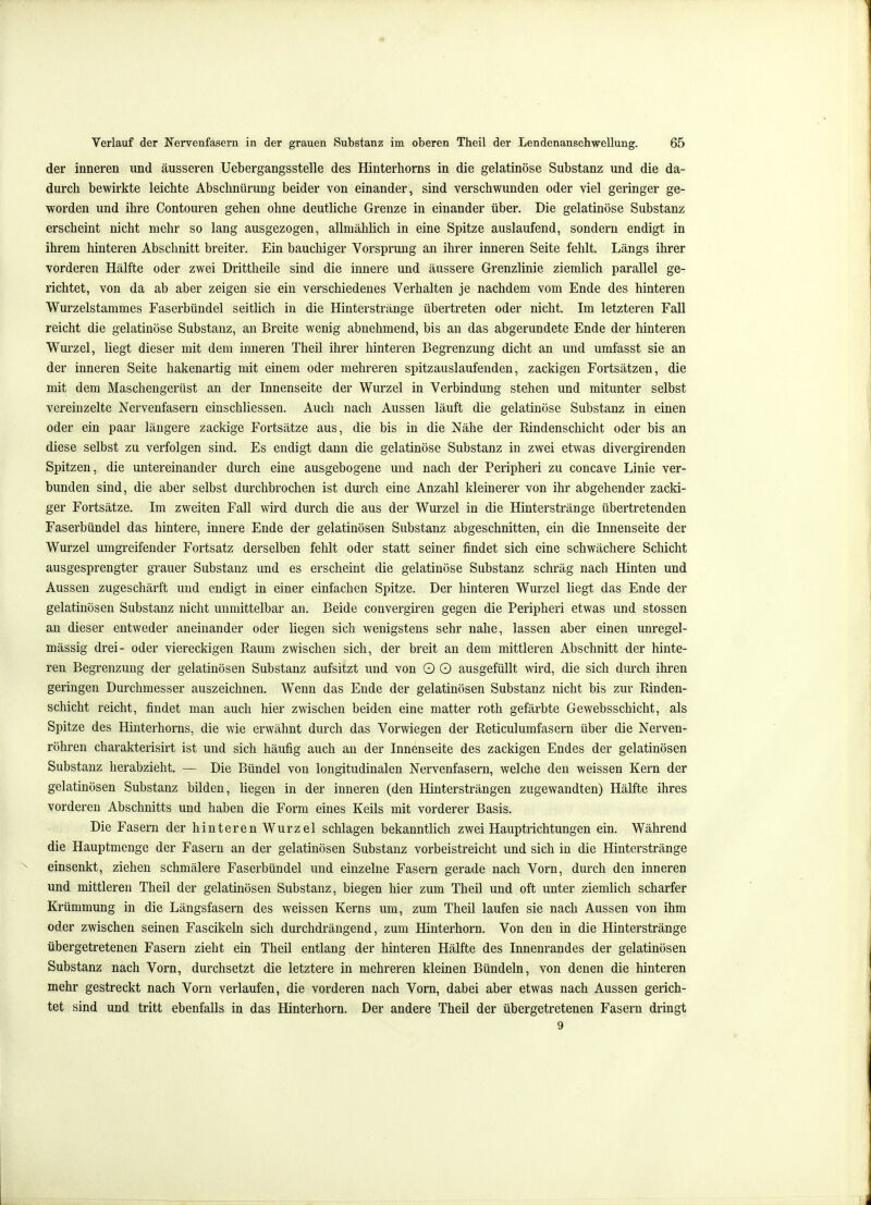 der inneren und äusseren Uebergangsstelle des Hinterliorns in die gelatinöse Substanz und die da- durch bewirkte leichte Abschnürung beider von einander, sind verschwunden oder viel geringer ge- worden und ihre Contouren gehen ohne deutliche Grenze in einander über. Die gelatinöse Substanz erscheint nicht mehr so lang ausgezogen, allmählich in eine Spitze auslaufend, sondern endigt in ihrem hinteren Abschnitt breiter. Ein bauchiger Vorsprung an ihrer inneren Seite fehlt. Längs ihrer vorderen Hälfte oder zwei Drittheile sind die innere und äussere Grenzlinie ziemlich parallel ge- richtet, von da ab aber zeigen sie ein verschiedenes Verhalten je nachdem vom Ende des hinteren Wurzelstammes Faserbündel seitlich in die Hinterstränge übertreten oder nicht. Im letzteren Fall reicht die gelatinöse Substanz, an Breite wenig abnehmend, bis an das abgerundete Ende der hinteren Wurzel, liegt dieser mit dem inneren Theil ihrer hinteren Begrenzung dicht an und umfasst sie an der inneren Seite hakenartig mit einem oder mehreren spitzauslaufenden, zackigen Fortsätzen, die mit dem Maschengerüst an der Innenseite der Wurzel in Verbindung stehen und mitunter selbst vereinzelte Nervenfasern einschliessen. Auch nach Aussen läuft die gelatinöse Substanz in einen oder ein paar längere zackige Fortsätze aus, die bis in die Nähe der Rindenschicht oder bis an diese selbst zu verfolgen sind. Es endigt dann die gelatinöse Substanz in zwei etwas divergirenden Spitzen, die untereinander durch eine ausgebogene und nach der Peripheri zu concave Linie ver- bunden sind, die aber selbst durchbrochen ist durch eine Anzahl kleinerer von ihr abgehender zacki- ger Fortsätze. Im zweiten Fall wird durch die aus der Wurzel in die Hinterstränge übertretenden Faserbündel das hintere, innere Ende der gelatinösen Substanz abgeschnitten, ein die Innenseite der Wurzel umgreifender Fortsatz derselben fehlt oder statt seiner findet sich eine schwächere Schicht ausgesprengter grauer Substanz und es erscheint die gelatinöse Substanz schräg nach Hinten und Aussen zugeschärft und endigt in einer einfachen Spitze. Der hinteren Wurzel liegt das Ende der gelatinösen Substanz nicht unmittelbar an. Beide convergiren gegen die Peripheri etwas und stossen an dieser entweder aneinander oder liegen sich wenigstens sehr nahe, lassen aber einen unregel- mässig drei- oder viereckigen Raum zwischen sich, der breit an dem mittleren Abschnitt der hinte- ren Begrenzung der gelatinösen Substanz aufsitzt und von O O ausgefüllt wird, die sich durch ihren geringen Durchmesser auszeichnen. Wenn das Ende der gelatinösen Substanz nicht bis zur Rinden- schicht reicht, findet man auch hier zwischen beiden eine matter roth gefärbte Gewebsschicht, als Spitze des Hinterhorns, die wie erwähnt durch das Vorwiegen der Reticulumfasern über die Nerven- röhren charakterisirt ist und sich häufig auch an der Innenseite des zackigen Endes der gelatinösen Substanz herabzieht. — Die Bündel von longitudinalen Nervenfasern, welche den weissen Kern der gelatinösen Substanz bilden, liegen in der inneren (den Hintersträngen zugewandten) Hälfte ihres vorderen Abschnitts und haben die Form eines Keils mit vorderer Basis. Die Fasern der hinteren Wurzel schlagen bekanntlich zwei Hauptrichtungen ein. Während die Hauptmenge der Fasern an der gelatinösen Substanz vorbeistreicht und sich in die Hinterstränge einsenkt, ziehen schmälere Faserbündel und einzelne Fasern gerade nach Vorn, durch den inneren und mittleren Theil der gelatinösen Substanz, biegen hier zum Theil und oft unter ziemlich scharfer Krümmung in die Längsfasern des weissen Kerns um, zum Theil laufen sie nach Aussen von ihm oder zwischen seinen Fascikeln sich durchdrängend, zum Hinterhorn. Von den in die Hinterstränge übergetretenen Fasern zieht ein Theil entlang der hinteren Hälfte des Innenrandes der gelatinösen Substanz nach Vorn, durchsetzt die letztere in mehreren kleinen Bündeln, von denen die hinteren mehr gestreckt nach Vorn verlaufen, die vorderen nach Vorn, dabei aber etwas nach Aussen gerich- tet sind und tritt ebenfalls in das Hinterhorn. Der andere Theil der übergetretenen Fasern dringt 9