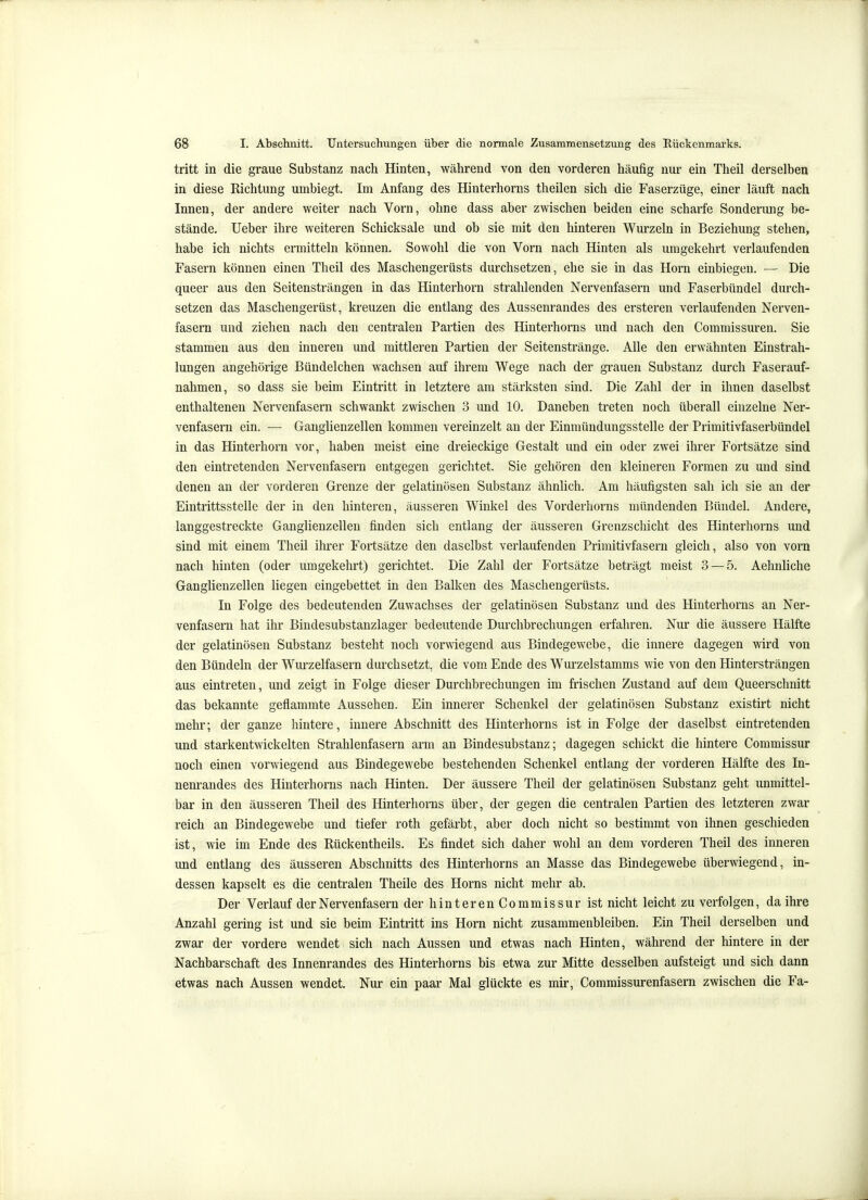 tritt in die graue Substanz nach Hinten, während von den vorderen häufig nur ein Theil derselben in diese Richtung umbiegt. Im Anfang des Hinterhorns theilen sich die Faserzüge, einer läuft nach Innen, der andere weiter nach Vorn, ohne dass aber zwischen beiden eine scharfe Sonderung be- stände, lieber ihre weiteren Schicksale und ob sie mit den hinteren Wurzeln in Beziehung stehen, habe ich nichts ermitteln können. Sowohl die von Vorn nach Hinten als umgekehrt verlaufenden Fasern können einen Theil des Maschengerüsts durchsetzen, ehe sie in das Horn einbiegen. — Die queer aus den Seitensträngen in das Hinterhorn strahlenden Nervenfasern und Faserbündel durch- setzen das Maschengerüst, kreuzen die entlang des Aussenrandes des ersteren verlaufenden Nerven- fasern und ziehen nach den centralen Partien des Hinterhorns und nach den Commissuren. Sie stammen aus den inneren und mittleren Partien der Seitenstränge. Alle den erwähnten Einstrah- lungen angehörige Bündelchen wachsen auf ihrem Wege nach der grauen Substanz durch Faserauf- nahmen, so dass sie beim Eintritt in letztere am stärksten sind. Die Zahl der in ihnen daselbst enthaltenen Nervenfasern schwankt zwischen 3 und 10. Daneben treten noch überall einzelne Ner- venfasern ein. — Ganglienzellen kommen vereinzelt an der Einmündungssteile der Primitivfaserbündel in das Hinterhorn vor, haben meist eine dreieckige Gestalt und ein oder zwei ihrer Fortsätze sind den eintretenden Nervenfasern entgegen gerichtet. Sie gehören den kleineren Formen zu und sind denen an der vorderen Grenze der gelatinösen Substanz ähnlich. Am häufigsten sah ich sie an der Eintrittsstelle der in den hinteren, äusseren Winkel des Vorderhorns mündenden Bündel. Andere, langgestreckte Ganglienzellen finden sich entlang der äusseren Grenzschicht des Hinterhorns und sind mit einem Theil ihrer Fortsätze den daselbst verlaufenden Primitivfasern gleich, also von vorn nach hinten (oder umgekehrt) gerichtet. Die Zahl der Fortsätze beträgt meist 3 — 5. Aehnliche Ganglienzellen liegen eingebettet in den Balken des Maschengerüsts. In Folge des bedeutenden Zuwachses der gelatinösen Substanz und des Hinterhorns an Ner- venfasern hat ihr Bindesubstanzlager bedeutende Dm-chbrechungen erfahren. Nur die äussere Hälfte der gelatinösen Substanz besteht noch vorwiegend aus Bindegewebe, die innere dagegen wird von den Bündeln der Wui-zelfasern durchsetzt, die vom Ende des Wurzelstamms wie von den Hintersträngen aus eintreten, und zeigt in Folge dieser Durchbrechungen im frischen Zustand auf dem Queerschnitt das bekannte geflammte Aussehen. Ein innerer Schenkel der gelatinösen Substanz existirt nicht mehr; der ganze hintere, innere Abschnitt des Hinterhorns ist in Folge der daselbst eintretenden und starkentwickelten Strahlenfasern arm an Bindesubstanz; dagegen schickt die hintere Commissur noch einen vorwiegend aus Bindegewebe bestehenden Schenkel entlang der vorderen Hälfte des In- nenrandes des Hinterhorns nach Hinten. Der äussere Theil der gelatinösen Substanz geht unmittel- bar in den äusseren Theil des Hinterhorns über, der gegen die centralen Partien des letzteren zwar reich an Bindegewebe und tiefer roth gefärbt, aber doch nicht so bestimmt von ihnen geschieden ist, wie im Ende des Rückentheils. Es findet sich daher wohl an dem vorderen Theil des inneren und entlang des äusseren Abschnitts des Hinterhorns an Masse das Bindegewebe überwiegend, in- dessen kapselt es die centralen Theile des Horns nicht mehr ab. Der Verlauf der Nervenfasern der hinteren Commissur ist nicht leicht zu verfolgen, da ihre Anzahl gering ist und sie beim Eintritt ins Horn nicht zusammenbleiben. Ein Theil derselben und zwar der vordere wendet sich nach Aussen und etwas nach Hinten, während der hintere in der Nachbarschaft des Innenrandes des Hinterhorns bis etwa zur Mitte desselben aufsteigt und sich dann etwas nach Aussen wendet. Nur ein paar Mal glückte es mir, Commissurenfasern zwischen die Fa-