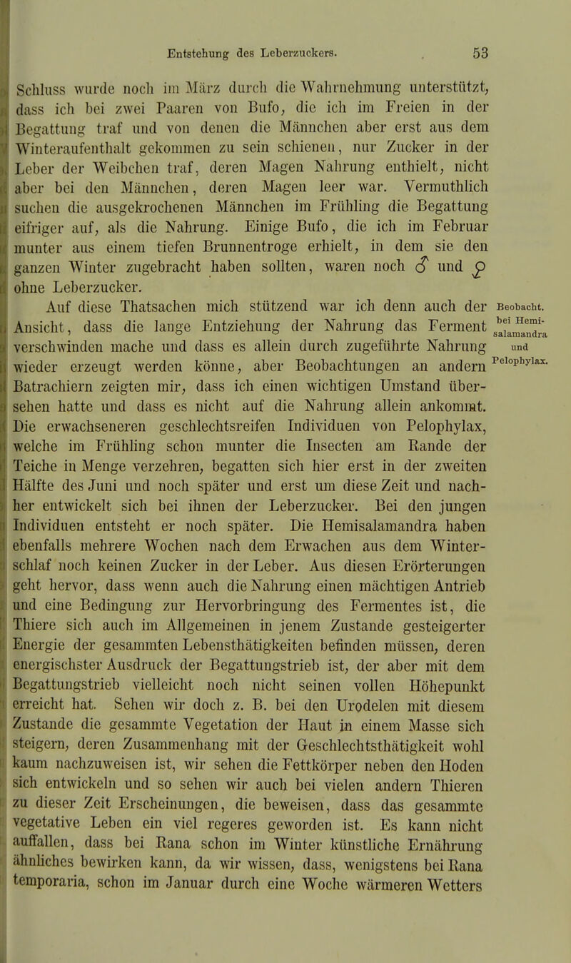 Schluss wurde noch im März durch die Wahrnehmung unterstützt, dass ich bei zwei Paaren von Bufo, die ich im Freien in der Begattung traf und von denen die Männchen aber erst aus dem Winteraufenthalt gekommen zu sein schienen, nur Zucker in der Leber der Weibchen traf, deren Magen Nahrung enthielt, nicht aber bei den Männchen, deren Magen leer war. Vermuthlich suchen die ausgekrochenen Männchen im Frühling die Begattung eifriger auf, als die Nahrung. Einige Bufo, die ich im Februar munter aus einem tiefen Brunnentroge erhielt, in dem sie den ganzen Winter zugebracht haben sollten, waren noch c? und ohne Leberzucker. Auf diese Thatsachen mich stützend war ich denn auch der Beobacht. Ansicht, dass die lange Entziehung der Nahrung das Ferment saja aena*a verschwinden mache und dass es allein durch zugeführte Nahrung und wieder erzeugt werden könne, aber Beobachtungen an andern Pel°Phylax- Batrachiern zeigten mir, dass ich einen wichtigen Umstand über- sehen hatte und dass es nicht auf die Nahrung allein ankommt. Die erwachseneren geschlechtsreifen Individuen von Pelophylax, welche im Frühling schon munter die Insecten am Rande der Teiche in Menge verzehren, begatten sich hier erst in der zweiten Hälfte des Juni und noch später und erst um diese Zeit und nach- her entwickelt sich bei ihnen der Leberzucker. Bei den jungen Individuen entsteht er noch später. Die Hemisalamandra haben ebenfalls mehrere Wochen nach dem Erwachen aus dem Winter- schlaf noch keinen Zucker in der Leber. Aus diesen Erörterungen geht hervor, dass wenn auch die Nahrung einen mächtigen Antrieb und eine Bedingung zur Hervorbringung des Fermentes ist, die Thiere sich auch im Allgemeinen in jenem Zustande gesteigerter Energie der gesammten Lebensthätigkeiten befinden müssen, deren energischster Ausdruck der Begattungstrieb ist, der aber mit dem Begattungstrieb vielleicht noch nicht seinen vollen Höhepunkt erreicht hat. Sehen wir doch z. B. bei den Urodelen mit diesem Zustande die gesammte Vegetation der Haut in einem Masse sich steigern, deren Zusammenhang mit der Geschlechtsthätigkeit wohl kaum nachzuweisen ist, wir sehen die Fettkörper neben den Hoden sich entwickeln und so sehen wir auch bei vielen andern Thieren zu dieser Zeit Erscheinungen, die beweisen, dass das gesammte vegetative Leben ein viel regeres geworden ist. Es kann nicht auffallen, dass bei Rana schon im Winter künstliche Ernährung ähnliches bewirken kann, da wir wissen, dass, wenigstens bei Rana temporaria, schon im Januar durch eine Woche wärmeren Wetters