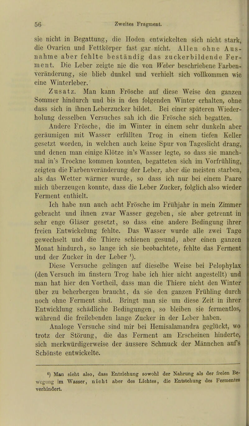 sie nicht in Begattung, die Hoden entwickelten sich nicht stark, die Ovarien und Fettkörper fast gar nicht. Allen ohne Aus- nahme aber fehlte beständig das zuckerbildende Fer- ment. Die Leber zeigte nie die von Weber beschriebene Farben- veränderung, sie blieb dunkel und verhielt sich vollkommen wie eine Winterleber.' Zusatz. Man kann Frösche auf diese Weise den ganzen Sommer hindurch und bis in den folgenden Winter erhalten, ohne dass sich in ihnen Leberzucker bildet. Bei einer späteren Wieder- holung desselben Versuches sah ich die Frösche sich begatten. Andere Frösche, die im Winter in einem sehr dunkeln aber geräumigen mit Wasser erfüllten Trog in einem tiefen Keller gesetzt worden, in welchen auch keine Spur von Tageslicht drang, und denen man einige Klötze in's Wasser legte, so dass sie manch- mal in's Trockne kommen konnten, begatteten sich im Vorfrühling, zeigten die Farbenveränderung der Leber, aber die meisten starben, als das Wetter wärmer wurde, so dass ich nur bei einem Paare mich überzeugen konnte, dass die Leber Zucker, folglich also wieder Ferment enthielt. Ich habe nun auch acht Frösche im Frühjahr in mein Zimmer gebracht und ihnen zwar Wasser gegeben, sie aber getrennt in sehr enge Gläser gesetzt, so dass eine andere Bedingung ihrer freien Entwicklung fehlte. Das Wasser wurde alle zwei Tage gewechselt und die Thiere schienen gesund, aber einen ganzen Monat hindurch, so lange ich sie beobachtete, fehlte das Ferment und der Zucker in der Leber '). Diese Versuche gelingen auf dieselbe Weise bei Pelophylax (den Versuch im finstern Trog habe ich hier nicht angestellt) und man hat hier den Vortheil, dass man die Thiere nicht den Winter über zu beherbergen braucht, da sie den ganzen Frühling durch noch ohne Ferment sind. Bringt man sie um diese Zeit in ihrer Entwicklung schädliche Bedingungen, so bleiben sie fermentlos, während die freilebenden lange Zucker in der Leber haben. Analoge Versuche sind mir bei Hemisalamandra geglückt, wo trotz der Störung, die das Ferment am Erscheinen hinderte, sich merkwürdigerweise der äussere Schmuck der Männchen aufs Schönste entwickelte. *) Man sieht also, dass Entziehung sowohl der Nahrung als der freien Be- wegung im Wasser, nicht aber des Lichtes, die Entstehung des Fermentes verhindert.