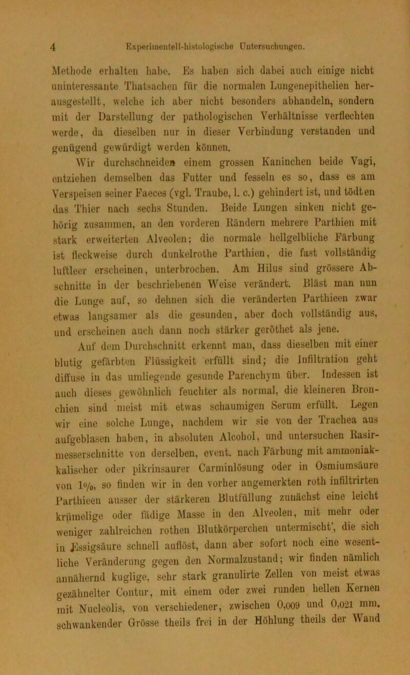 Methode erhalten habe. Es haben sich dabei auch einige nicht uninteressante Thatsachen für die normalen Lungenepithelien her- ausgestellt, welche ich aber nicht besonders abhandeln, sondern mit der Darstellung der pathologischen Verhältnisse verflechten werde, da dieselben nur in dieser Verbindung verstanden und genügend gewürdigt werden können. Wir durchschneide» einem grossen Kaninchen beide Vagi, entziehen demselben das Futter und fesseln es so, dass es am Verspeisen seiner Faeces (vgl. Traube, 1. c.) gehindert ist, und tödten das Thier nach sechs Stunden. Beide Lungen sinken nicht ge- hörig zusammen, an den vorderen Rändern mehrere Parthien mit stark erweiterten Alveolen; die normale hellgelbliche Färbung ist fleckweise durch dunkelrothe Parthien, die fast vollständig luftleer erscheinen, unterbrochen. Am Hilus sind grössere Ab- schnitte in der beschriebenen Weise verändert. Bläst man nun die Lunge auf, so dehnen sich die veränderten Parthieen zwar etwas langsamer als die gesunden, aber doch vollständig aus, und erscheinen auch dann noch stärker geröthct als jene. Auf dem Durchschnitt erkennt man, dass dieselben mit einer blutig gefärbten Flüssigkeit erfüllt sind; die Infiltration geht difluse in das umliegende gesunde Parenchym über. Indessen ist auch dieses gewöhnlich feuchter als normal, die kleineren Bron- chien sind meist mit etwas schaumigen Serum erfüllt. Legen wir eine solche Lunge, nachdem wir sie von der Trachea aus aufgeblasen haben, in absoluten Alcohol, und untersuchen liasir- messerschnitte von derselben, event. nach Färbung mit ammoniak- kalischer oder pikrinsaurer Carminlösung oder in Osmiumsäure von 1%, so finden wir in den vorher angemerkten roth iufiltrirten Parthieen ausser der stärkeren Blutlüllung zunächst eine leicht krümelige oder fädige Masse in den Alveolen, mit mehr odei weniger zahlreichen rothen Blutkörperchen untermischt, die sich in Essigsäure schnell auflöst, dann aber sofort noch eine wesent- liche Veränderung gegen den Normalzustand; wir finden nämlich annähernd kuglige, sehr stark granulirte Zellen von meist etwas gezähnelter Contur, mit einem oder zwei runden hellen Kernen mit Nucleolis, von verschiedener, zwischen 0,009 und 0,021 mm. schwankender Grösse theils frei in der Höhlung theils der Wand