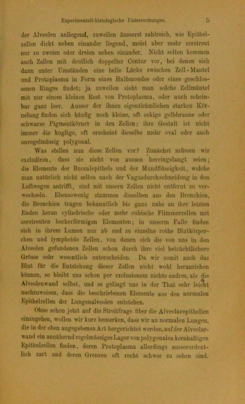 der Alveolen anliegend, zuweilen äusserst zahlreich, wie Epithel- zellen dicht neben einander liegend, meist aber mehr zerstreut nur zu zweien oder dreien neben einander. Nicht selten kommen auch Zellen mit deutlich doppelter Contur vor, bei denen sich dann unter Umständen eine helle Lücke zwischen Zell-Mantel und Protoplasma in Form eines Halbmondes oder eines geschlos- senen Ringes findet; ja zuweilen sieht man solche Zellmäntel mit nur einem kleinen Rest von Protoplasma, oder auch schein- bar ganz leer. Ausser der ihnen eigenthümlichen starken Kör- nelung finden sich häufig noch kleine, oft eckige gelbbraune oder schwarze Pigmentkörner in den Zellen; ihre Gestalt ist nicht immer die kuglige, oft erscheint dieselbe mehr oval oder auch unregelmässig polygonal. Was stellen nun diese Zellen vor? Zunächst müssen wir * exeludiren, dass sie nicht von aussen hereingelangt seien; die Elemente der Buccalepithels und der Mundfi&ssigkeit, welche man natürlich nicht selten nach der Vagusdurchschneidung in den Luftwegen antrifft, sind mit unsern Zellen nicht entfernt zu ver- wechseln. Ebensowenig stammen dieselben aus den Bronchien, die Bronchien tragen bekanntlich bi* ganz nahe an ihre letzten Enden heran cylindrische oder mehr cubiscbe Flimmerzellen mit zerstreuten becherförmigen Elementen; in unserm Falle finden sich in ihrem Lumen nur ab und zu einzelne rothe Blutkörper- chen und Ivmphoide Zellen, von denen sich die von uns in den Alveolen gefundenen Zellen schon durch ihre viel beträchtlichere Grösse sehr wesentlich unterscheiden. l)a wir somit auch das Blut für die Entstehung dieser Zellen nicht wohl heranziehen können, so bleibt uns schon per exelusionem nichts andres, als die Alveolenwand selbst, und es gelingt uns in der That sehr leicht nachzuweisen, dass die beschriebenen Elemente aus den normalen Epithelzellen der Luugeualveolen entstehen. Ohne schon jetzt auf die Streitfrage über die Alveolarepithelien einzugehen, wollen wir kurz bemerken, dass wir an normalen Lungen, die in der oben angegebenen Art hergerichtet werden, aufder Alveolar- wand ein annähernd regelmässiges Lager von polygonalen kernhaltigen Epithelzellen finden, deren Protoplasma allerdings ausserordent- lich zart und deren Grenzen oft recht schwer zu sehen sind.