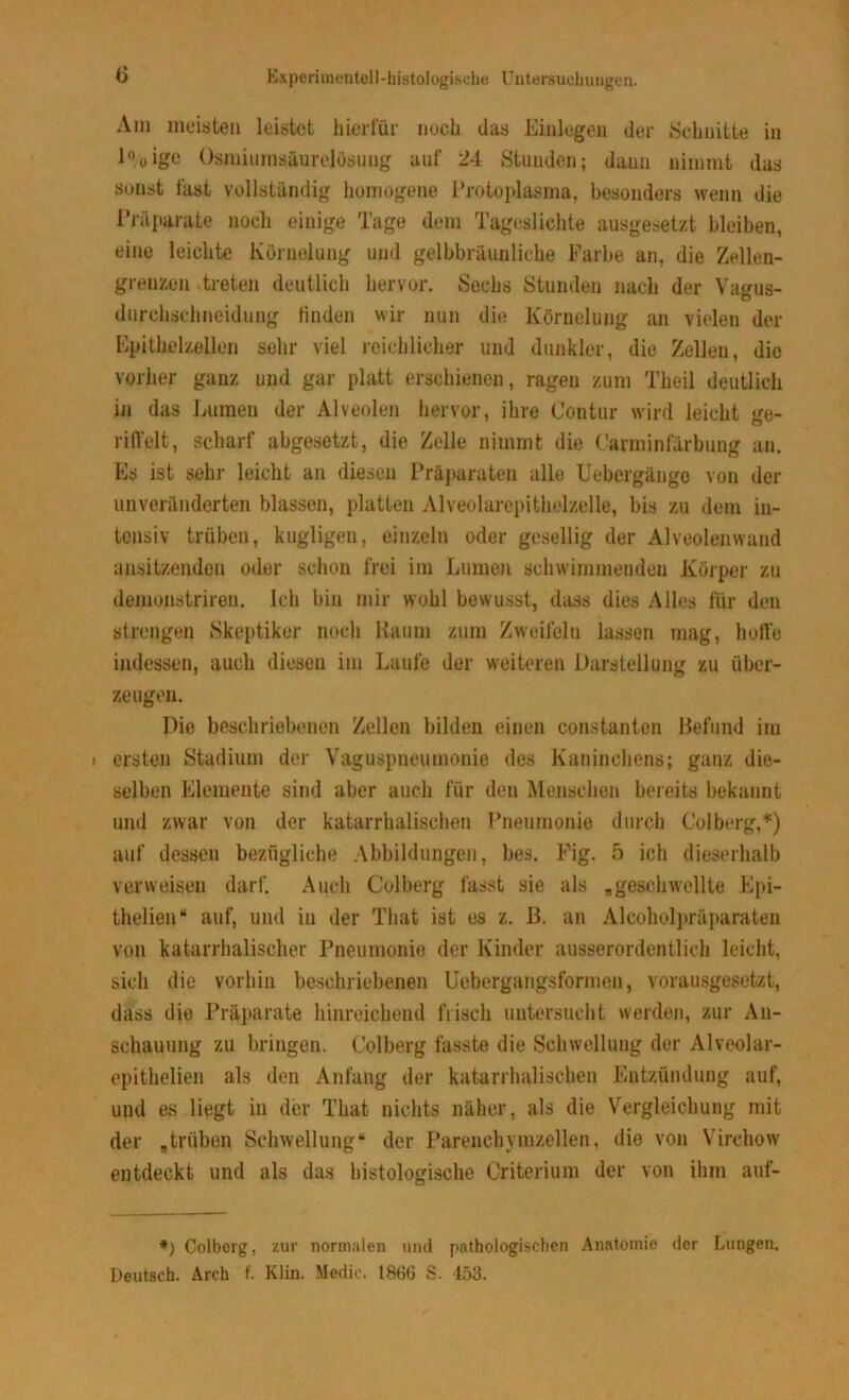 Am meisten leistet hierfür noch das Einlegen der Schnitte in l%ige Osmiumsäurelösung auf 24 Stunden; dann nimmt das sonst fast vollständig homogene Protoplasma, besonders wenn die Präparate noch einige Tage dem Tageslichte ausgesetzt bleiben, eine leichte Körnelung und gelbbräunliche Farbe an, die Zellen- greuzen treten deutlich hervor. Sechs Stunden nach der Vagus- durchschneidung finden wir nun die Körnelung an vielen der Epithelzellen sehr viel reichlicher und dunkler, die Zellen, die vorher ganz und gar platt erschienen, ragen zum Theil deutlich in das Lumen der Alveolen hervor, ihre Contur wird leicht ge- riffelt, scharf abgesetzt, die Zelle nimmt die Carminfärbung an. Es ist sehr leicht an diesen Präparaten alle Uebergänge von der unveränderten blassen, platten Alveolarepithelzelle, bis zu dem in- tensiv trüben, kugligen, einzeln oder gesellig der Alveolenwand ansitzenden oder schon frei im Lumen schwimmenden Körper zu demonstrireu. Ich bin mir wohl bewusst, dass dies Alles für den strengen Skeptiker noch Kaum zum Zweifeln lassen mag, hoffe indessen, auch diesen im Laufe der weiteren Darstellung zu über- zeugen. Die beschriebenen Zellen bilden einen constanten Befund im i ersten Stadium der Vaguspneumonie des Kaninchens; ganz die- selben Elemente sind aber auch für den Menschen bereits bekannt und zwar von der katarrhalischen Pneumonie durch Colberg,*) auf dessen bezügliche Abbildungen, bes. Fig. 5 ich dieserhalb verweisen darf. Auch Colberg lässt sie als „geschwellte Epi- thelien“ auf, und in der That ist es z. B. an Alcoholpräparaten von katarrhalischer Pneumonie der Kinder ausserordentlich leicht, sich die vorhin beschriebenen Uebergangsformen, vorausgesetzt, dass die Präparate hinreichend frisch untersucht werden, zur An- schauung zu bringen. Colberg fasste die Schwellung der Alveolar- epithelien als den Anfang der katarrhalischen Entzündung auf, und es liegt in der That nichts näher, als die Vergleichung mit der „trüben Schwellung“ der Parenchymzellen, die von Virehow entdeckt und als das histologische Criterium der von ihm auf- *) Colberg, zur normalen und pathologischen Anatomie der Lungen. Deutsch. Arch f. Klin. Medic. 1860 S. 453.