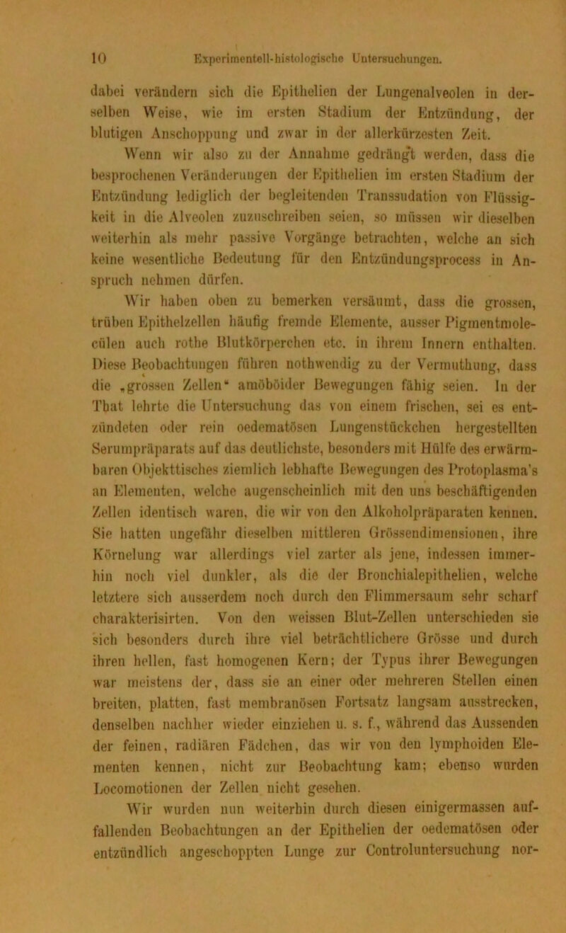 dabei verändern sich die Epithelien der Lungenalveolen in der- selben Weise, wie im ersten Stadium der Entzündung, der blutigen Anschoppung und zwar in der allerkürzesten Zeit. Wenn wir also zu der Annahme gedrängt werden, dass die besprochenen Veränderungen der Epithelien im ersten Stadium der Entzündung lediglich der begleitenden Transsudation von Flüssig- keit in die Alveolen zuzuschreiben seien, so müssen wir dieselben weiterhin als mehr passive Vorgänge betrachten, welche an sich keine wesentliche Bedeutung für den Entzündungsprocess in An- spruch nehmen dürfen. Wir haben oben zu bemerken versäumt, dass die grossen, trüben Epithelzellen häufig fremde Elemente, ausser Pigmentmole- cülen auch rothe Blutkörperchen etc. in ihrem Innern enthalten. Diese Beobachtungen führen nothwendig zu der Verinuthung, dass die „grossen Zellen“ amöboider Bewegungen fähig seien. In der Tbat lehrte die Untersuchung das von einem frischen, sei es ent- zündeten oder rein oedematösen Lungenstückchen hergestellten Serumpräparats auf das deutlichste, besonders mit Hülfe des erwärm- baren Objekttisches ziemlich lebhafte Bewegungen des Protoplasma’s an Elementen, welche augenscheinlich mit den uns beschäftigenden Zellen identisch waren, die wir von den Alkoholpräparaten kennen. Sie hatten ungefähr dieselben mittleren Grössendimensionen, ihre Körnelung war allerdings viel zarter als jene, indessen immer- hin noch viel dunkler, als die der Bronchialepithelien, welche letztere sich ausserdem noch durch den Flimmersaum sehr scharf charakterisirten. Von den weissen Blut-Zellen unterschieden sie sich besonders durch ihre viel beträchtlichere Grösse und durch ihren hellen, fast homogenen Kern; der Typus ihrer Bewegungen war meistens der, dass sie an einer oder mehreren Stellen einen breiten, platten, fast membranösen Fortsatz langsam ausstrecken, denselben nachher wieder einziehen u. s. f., während das Aussenden der feinen, radiären Fädchen, das wir von den lymphoiden Ele- menten kennen, nicht zur Beobachtung kam; ebenso wurden Locomotionen der Zellen nicht gesehen. Wir wurden nun weiterhin durch diesen einigermassen auf- fallenden Beobachtungen an der Epithelien der oedematösen oder entzündlich angeschoppten Lunge zur Controluntersuchung nor-