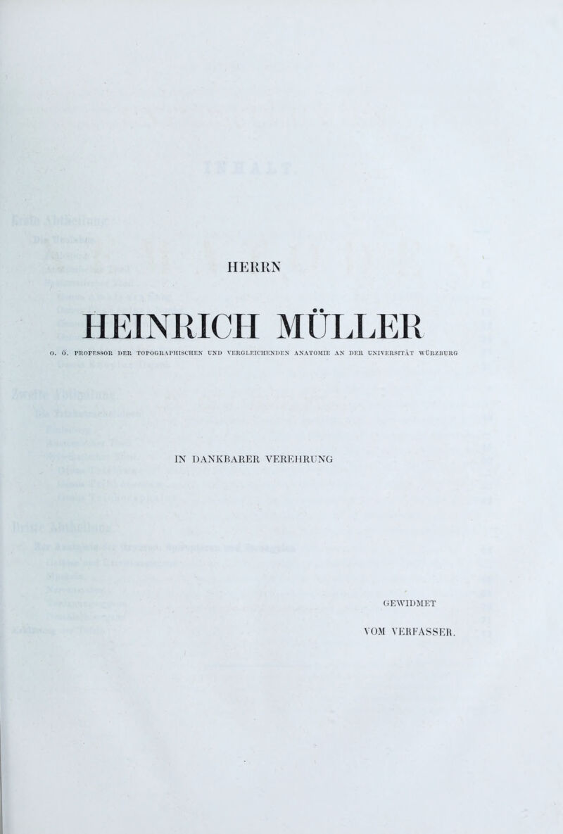 HERRN HEINRICH MÜLLER O. 0. PROFESSOR DER TOPOGRAPHISCHEN' UND VERGLEICHENDEN ANATOMIE AN DER UNIVERSITÄT WÜRZBURG IN DANKBARER VEREHRUNG GEWIDMET VOM VERFASSER.