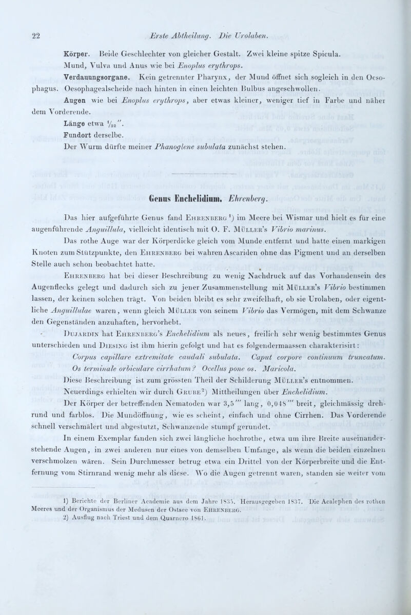 Körper. Beide Geschlechter von gleicher Gestalt. Zwei kleine spitze Spicula. Mund, Vulva und Anus wie bei Enoplus erythrops. Verdauungsorgane. Kein getrennter Pharynx, der Mund öffnet sich sogleich in den Oeso- phagus. Oesophagealscheide nach hinten in einen leichten Bulbus angeschwollen. Augen wie bei Enoplus erythrops, aber etwas kleiner, weniger tief in Farbe und näher dem Vorderende. Länge etwa y32. Fundort derselbe. Der Wurm dürfte meiner Phanoglene subulata zunächst stehen. (»(‘litis liuclielidiuni. Ehrenberg. Das hier aufgeführte Genus fand Ehkenberg1) im Meere bei Wismar und hielt es für eine augenführende Anguillula, vielleicht identisch mit O. F. Müller’s Vibrio marinus. Das rotlie Auge war der Körperdicke gleich vom Munde entfernt und hatte einen markigen Knoten zum Stützpunkte, den Ehrenberg bei wahren Ascariden ohne das Pigment und an derselben Stelle auch schon beobachtet hatte. Ehrenberg hat bei dieser Beschreibung zu wenig Nachdruck auf das Vorhandensein des Augenflecks gelegt und dadurch sich zu jener Zusammenstellung mit Müller’s Vibrio bestimmen lassen, der keinen solchen trägt. Von beiden bleibt es sehr zweifelhaft, ob sie Urolaben, oder eigent- liche Anguillulae waren, wenn gleich Müller von seinem Vibrio das Vermögen, mit dem Schwänze den Gegenständen anzuhaften, hervorhebt. Dujardin hat Ehrenberg’s Enchelidium als neues, freilich sehr wenig bestimmtes Genus unterschieden und Diesing ist ihm hierin gefolgt und hat es folgendermaassen charakterisirt: Corpus ccipillare extremitate caudali subulata. Caput corpore coniinuum truncatum. Os terminale orbiculare cirrhatum ? Ocellus pone os. Maricola. Diese Beschreibung ist zum grössten Theil der Schilderung Müller’s entnommen. Neuerdings erhielten wir durch Grube2) Mittheilungen über Enchelidium. Der Körper der betreffenden Nematoden war 3,5' lang, 0,048'” breit, gleiclnnässig dreh- rund und farblos. Die Mundöffnung, wie es scheint, einfach und ohne Cirrhen. Das Vorderende schnell verschmälert und abgestutzt, Schwanzende stumpf gerundet. In einem Exemplar fanden sich zwei längliche hochrothe, etwa um ihre Breite auseinander- stehende Augen, in zwei anderen nur eines von demselben Umfange, als wenn die beiden einzelnen verschmolzen wären. Sein Durchmesser betrug etwa ein Drittel von der Körperbreite und die Ent- fernung vom Stirnrand wenig mehr als diese. Wo die Augen getrennt waren, standen sie weiter vom 1) Berichte der Berliner Academie aus dem Jahre 1835. Herausgegeben 1837. Die Acalephen des rothen Meeres und der Organismus der Medusen der Ostsee von Ehkenbeug. 2) Ausflug nach Triest und dem Quarnero 1801.