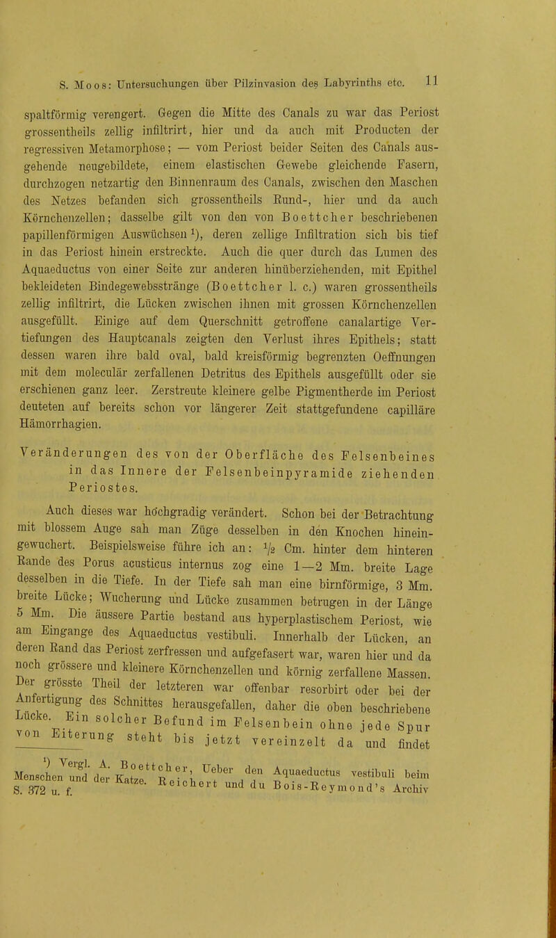 spaltförmig verengert. Gegen die Mitte des Canals zu M'ar das Periost grossentheils zellig inflltrirt, hier und da auch mit Producten der regressiven Metamorphose; — vom Periost beider Seiten des Canals aus- gehende neugebildete, einem elastischen Gewebe gleichende Fasern, durchzogen netzartig den Binnenraum des Canals, zwischen den Maschen des Netzes befanden sich grossentheils Eund-, hier und da auch Körnchenzellen; dasselbe gilt von den von Boettcher beschriebenen papillenförmigen Auswüchsen i), deren zellige Infiltration sich bis tief in das Periost hinein erstreckte. Auch die quer durch das Lumen des Aquaeductus von einer Seite zur anderen hinüberziehenden, mit Epithel bekleideten Bindegewebsstränge (Boettcher 1. c.) waren grossentheils zellig inflltrirt, die Lücken zwischen ihnen mit grossen Körnchenzellen ausgefüllt. Einige auf dem Querschnitt getroffene canalartige Ver- tiefungen des Hauptcanals zeigten den Verlust ihres Epithels; statt dessen waren ihre bald oval, bald kreisförmig begrenzten Oeffnungen mit dem moleculär zerfallenen Detritus des Epithels ausgefüllt oder sie erschienen ganz leer. Zerstreute kleinere gelbe Pigmentherde im Periost deuteten auf bereits schon vor längerer Zeit stattgefundene capilläre Hämorrhagien. Veränderungen des von der Oberfläche des Felsenbeines in das Innere der Pelsenbeinpyramide ziehenden Periostes. Auch dieses war höchgradig verändert. Schon bei der Betrachtung mit blossem Auge sah man Züge desselben in den Knochen hinein- gewuchert. Beispielsweise führe ich an: 1/2 Cm. hinter dem hinteren Rande des Porus acusticus internus zog eine 1—2 Mm. breite Lage desselben in die Tiefe. In der Tiefe sah man eine birnförmige, 3 Mm. breite Lücke; Wucherung und Lücke zusammen betrugen in der Länge 5 Mm. Die äussere Partie bestand aus hyperplastischem Periost, wie am Eingänge des Aquaeductus vestibuli. Innerhalb der Lücken, an deren Rand das Periost zerfressen und aufgefasert war, waren hier und da noch grossere und kleinere Körnchenzellen und körnig zerfallene Massen Der grosste Theil der letzteren war offenbar resorbirt oder bei der Anfertigung des Schnittes herausgefallen, daher die oben beschriebene Lücke. Em solcher Befund im Felsenbein ohne jede Spur von^iterung steht bis jetzt vereinzelt da und findet MenscU2dtK!t?eR'iH/f'H'r ^^^^^^^^^ beim S. 372 u. f. Reichert und du Bois-Reymoud's Arohiv