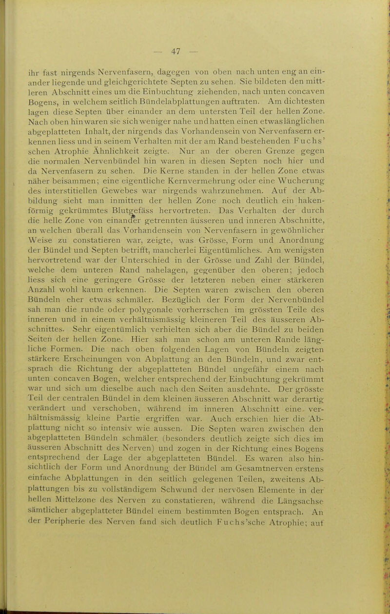 ihr fast nirgends Nervenfasern, dagegen von oben nach unten eng an ein- ander liegende und gleichgei'ichtete Septen zu sehen. Sie bildeten den mitt- leren Abschnitt eines um die Einbuchtung ziehenden, nach unten concaven Bogens, in welchem seitlich Biindelabplattungen auftraten. Amdichtesten lagen diese Septen über einander an dem untersten Teil der hellen Zone. Nach oben hinwaren sie sich weniger nahe undhatten einen etwas länglichen abgeplatteten Inhalt, der nirgends das Vorhandensein von Nervenfasern er- kennen Hess und in seinem Verhalten mit der am Rand bestehenden Fuchs' scheu Atrophie Ähnlichkeit zeigte. Nur an der oberen Grenze gegen die normalen Nervenbündel hin waren in diesen Septen noch hier und da Nervenfasern zu sehen. Die Kerne standen in der hellen Zone etwas näher beisammen; eine eigentliche Kernvermehrung oder eine Wucherung des interstitiellen Gewebes war nirgends wahrzunehmen. Auf der Ab- bildung sieht man inmitten der hellen Zone noch deutlich ein haken- förmig gekrümmtes Blutgefäss hervortreten. Das Verhalten der duixh die helle Zone von einancler getrennten äusseren imd inneren Abschnitte, an welchen überall das Vorhandensein von Nervenfasern in gewöhnlicher Weise zu constatieren war, zeigte, was Grösse, Form und Anordnung der Bündel und Septen betrifft, mancherlei Eigentümliches. Am wenigsten hervortretend war der Unterschied in der Grösse und Zahl der Bündel, welche dem unteren Rand nahelagen, gegenüber den obei'en; jedoch Hess sich eine geringere Grösse der letzteren neben einer stärkeren Anzahl wohl kaum erkennen. Die Septen waren zwischen den oberen Bündeln eher etwas schmäler. Bezüglich der Form der Nervenbündel sah man die runde oder polygonale vorherrschen im grössten Teile des inneren und in einem verhältnismässig kleineren Teil des äusseren Ab- schnittes. Sehr eigentümlich verhielten sich aber die Bündel zu beiden Seiten der hellen Zone. Hier sah man schon am unteren Rande läng- liche Formen. Die nach oben folgenden Lagen von Bündeln zeigten stärkere Erscheinungen von Ab^ilattung an den Bündeln, und zwar ent- sprach die Richtung der abgeplatteten Bündel ungefähr einem nach unten concaven Bogen, welcher entsprechend der Einbuchtung gekrümmt war und sich um dieselbe auch nach den Seiten ausdehnte. Der grösste Teil der centralen Bündel in dem kleinen äusseren Abschnitt war derartig verändert und verschoben, während im inneren Abschnitt eine, ver- hältnismässig kleine Partie ergriffen war. Auch erschien hier die Ab- plattung nicht so intensiv wie aussen. Die Septen waren zwischen den abgeplatteten Bündeln schmäler, (besonders deutlich zeigte sich dies im äusseren Abschnitt des Nerven) und zogen in der Richtung eines Bogens entsprechend der Lage der abgeplatteten Bündel. Es waren also hin- sichtlich der Form und Anordnung der Bündel am Gesamtnerven erstens einfache Abplattungen in den seitlich gelegenen Teilen, zweitens Ab- plattungen bis zu vollständigem .Schwund der nervösen Elemente in der hellen Mittel Zone des Nerven zu constatieren, wälirend die Läiigsachse sämtlicher abgeplatteter Bündel einem bestimmten Bogen entsprach. An der Peripherie des Nerven fand sich deutlich Fuchs'sehe Atrophie; auf