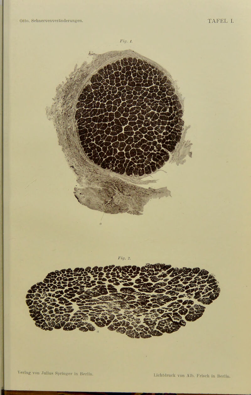 Fiil. I. Verlag von .liilins SpriiiKci- in l'.crliii. hiülitilriu'lv von Alb. I'^iiscli in lioilln.