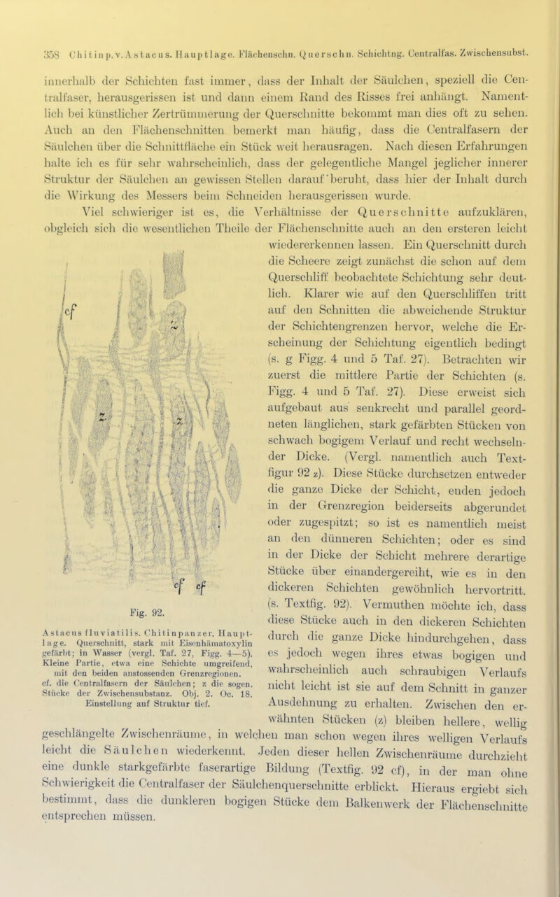 II w Ii i innerhalb der Schichten fast immer, dass der Inhalt der Säulchen, speziell die Cen- tralfaser, herausgerissen ist und dann einem Rand des Risses frei anhängt. Nament- lich bei künstlicher Zertrümmerung der Querschnitte bekommt man dies oft zu sehen. Auch an den Flächenschnitten bemerkt man häufig, dass die Centraifasern der Säulchen über die Schnittfläche ein Stück weit herausragen. Nach diesen Erfahrungen halte ich es für sehr wahrscheinlich, dass der gelegentliche Mangel jeglicher innerer Struktur der Säulchen an gewissen Stellen darauf'beruht, dass hier der Inhalt durch die Wirkung des Messers beim Schneiden herausgerissen wurde. Viel schwieriger ist es, die Verhältnisse der Querschnitte aufzuklären, obgleich sieh die wesentlichen Theile der Flächenschnitte auch an den ersteren leicht wiedererkennen lassen. Ein Querschnitt durch die Scheere zeigt zunächst die schon auf dem Querschliff beobachtete Schichtung sehr deut- lich. Klarer wie auf den Querschliffen tritt auf den Schnitten die abweichende Struktur der Schichtengrenzen hervor, welche die Er- scheinung der Schichtung eigentlich bedingt (s. g Figg. 4 und 5 Tai 27). Betrachten wir zuerst die mittlere Partie der Schichten (s. Figg. 4 und 5 Taf. 27). Diese erweist sich aufgebaut aus senkrecht und parallel geord- neten länglichen, stark gefärbten Stücken von schwach bogigem Verlauf und recht wechseln- der Dicke. (Vergl. namentlich auch Text- figur 92 z). Diese Stücke durchsetzen entweder die ganze Dicke der Schicht, enden jedoch in der Grenzregion beiderseits abgerundet oder zugespitzt; so ist es namentlich meist an den dünneren Schichten; oder es sind in der Dicke der Schicht mehrere derartige Stücke über einandergereiht, wie es in den dickeren Schichten gewöhnlich hervortritt, (s. Textfig. 92). Vermuthen möchte ich, dass diese Stücke auch in den dickeren Schichten durel] die ganze Dicke hindurchgehen, dass es jedoch wegen ihres etwas bogigen und wahrscheinlich auch schraubigen Verlaufs nicht leicht ist sie auf dem Schnitt in ganzer Ausdehnung zu erhalten. Zwischen den er- wähnten Stücken (z) bleiben hellere, wellig geschlängelte Zwischenräume, in welchen man schon wegen ihres welligen Verlaufs leicht die Säulchen wiederkennt. Jeden dieser hellen Zwischenräume durchzieht eine dunkle starkgefärbte faserartige Bildung (Textfig. 92 cf), in der man ohne Schwierigkeit die Centraifaser der Säulchenquerschnitte erblickt. Hieraus ergiebt sich bestimmt, dass die dunkleren bogigen Stücke dem Balkenwerk der Flächenschnitte entsprechen müssen. I I f f Fig. 92. Astacus fluviatilis. Chitinpanzer. Haupt- lage. Querschnitt, stark mit Eisenhämatoxylin gefärbt; in Wasser (vergl. Taf. 27, Figg. 4—5). Kleine Partie, etwa eine Schichte umgreifend, mit den beiden anstossenden Grenzregionen, cf. die Centraifasern der Säulehen; z die sogen. Sliickc der Zwischensubstanz. Olvj. 2. Oc. 18. Einstellung auf Struktur tief.