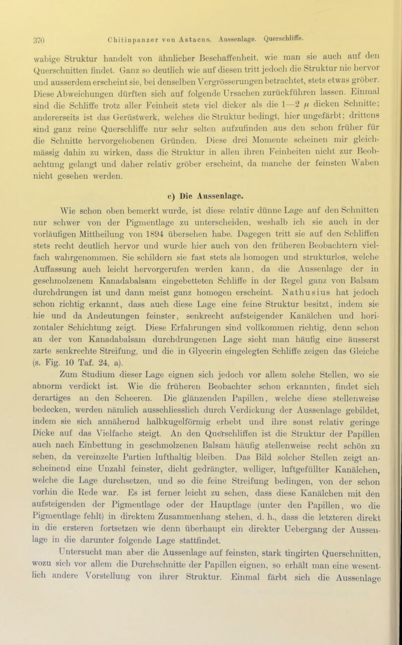 wabige Struktur handelt von ähnlicher Beschaffenheit, wie man sie auch auf den Querschnitten findet. Ganz so deutlich wie auf diesen tritt jedoch die Struktur nie hervor und ausserdem erscheint sie, bei denselben Vergrösserungen betrachtet, stets etwas gröber. Diese Abweichungen dürften sich auf folgende Ursachen zurückführen lassen. Einmal sind die Schliffe trotz aller Feinheit stets viel dicker als die 1—2 y. dicken Schnitte; andererseits ist das Gerüstwerk, welches die Struktur bedingt, hier ungefärbt; drittens sind ganz reine Querschliffe nur sehr selten aufzufinden aus den schon früher für die Schnitte hervorgehobenen Gründen. Diese drei Momente scheinen mir gleich- massig dahin zu wirken, dass die Struktur in allen ihren Feinheiten nicht zur Beob- achtung gelangt und daher relativ gröber erscheint, da manche der feinsten Waben nicht gesehen werden. c) Die Aussenlage. Wie schon oben bemerkt wurde, ist diese relativ dünne Lage auf den Schnitten nur schwer von der Pigmentlage zu unterscheiden, weshalb ich sie auch in der vorläufigen Mittheilung von 1894 übersehen habe. Dagegen tritt sie auf den Schliffen stets recht deutlich hervor und wurde hier auch von den früheren Beol»achtern viel- fach wahrgenommen. Sie schildern sie fast stets als homogen und strukturlos, welche Auffassung auch leicht hervorgerufen werden kann, da die Aussenlage der in geschmolzenem Kanadabalsam eingebetteten Schliffe in der Regel ganz von Balsam durchdrungen ist und dann meist ganz homogen erscheint. Nathusius hat jedoch schon richtig erkannt, dass auch diese Lage eine feine Struktur besitzt, indem sie hie und da Andeutungen feinster, senkrecht aufsteigender Kanälchen und hori- zontaler Schichtung zeigt. Diese Erfahrungen sind vollkommen richtig, denn schon an der von Kanadabalsam durchdrungenen Lage sieht man häufig eine äusserst zarte senkrechte Streifung, und die in Glycerin eingelegten Schliffe zeigen das Gleiche (s. Fig. 10 Taf. 24, a). Zum Studium dieser Lage eignen sich jedoch vor allem solche Stellen, wo sie abnorm verdickt ist. Wie die früheren Beobachter schon erkannten, findet sich derartiges an den Scheeren. Die glänzenden Papillen, welche diese stellenweise bedecken, werden nämlich ausschliesslich durch Verdickung der Aussenlage gebildet, indem sie sich annähernd halbkugelförmig erhebt und ihre sonst relativ geringe Dicke auf das Vielfache steigt. An den Que'rschliffen ist die Struktur der Papillen auch nach Einbettung in geschmolzenen Balsam häufig stellenweise recht schön zu sehen, da vereinzelte Partien lufthaltig bleiben. Das Bild solcher Stellen zeigt an- scheinend eine Unzahl feinster, dicht gedrängter, williger, luftgefüllter Kanälchen, welche die Lage durchsetzen, und so die feine Streifung bedingen, von der schon vorhin die Rede war. Es ist ferner leicht zu sehen, dass diese Kanälchen mit den aufsteigenden der Pigmentlage oder der Hauptlage (unter den Papillen, wo die Pigmentlage fehlt) in direktem Zusammenhang stehen, d. h., dass die letzteren direkt in die ersteren fortsetzen wie denn überhaupt ein direkter Uebergang der Aussen- lage in die darunter folgende Lage stattfindet. Untersucht man aber die Aussenlage auf feinsten, stark tingirten Querschnitten, wozu sich vor allem die Durchschnitte der Papillen eignen, so erhält man eine wesent- lich andere Vorstellung von ihrer Struktur. Einmal färbt sich die Aussenlao-e