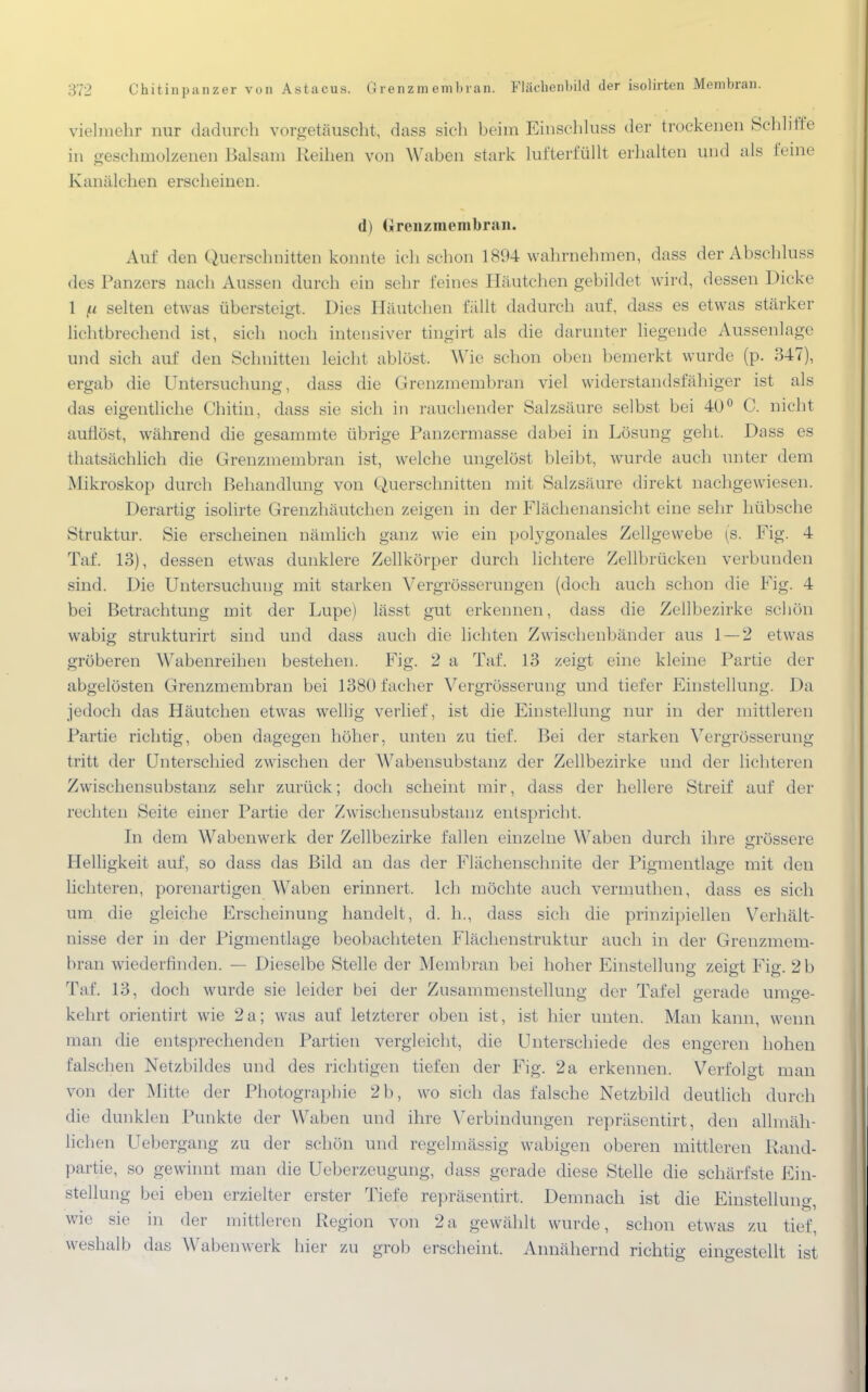 vielmehr nur dadurch vorgetäuscht, dass sich heim Einschluss der trockenen Schliffe in geschmolzenen Balsam Reihen von Waben stark lufterfüllt erhalten und als feine Kanälchen erscheinen. d) Grenzmembran. Auf den Querschnitten konnte ich schon 1894 wahrnehmen, dass der Abschluss des Panzers nach Aussen durch ein sehr feines Häutchen gebildet wird, dessen Dicke 1 fi selten etwas übersteigt. Dies Häufchen fällt dadurch auf, dass es etwas stärker lichtbrechend ist, sich noch intensiver tingirt als die darunter liegende Aussenlage und sich auf den Schnitten leicht ablöst. Wie schon oben bemerkt wurde (p. 347), ergab die Untersuchung, dass die Grenzmembran viel widerstandsfälliger ist als das eigentliche Chitin, dass sie sich in rauchender Salzsäure selbst bei 40° C. nicht auflöst, während die gesammte übrige Panzermasse dabei in Lösung geht. Dass es thatsächlich die Grenzmembran ist, welche ungelöst bleibt, wurde auch unter dem Mikroskop durch Behandlung von Querschnitten mit Salzsäure direkt nachgewiesen. Derartig isolirte Grenzhäutchen zeigen in der Flächenansicht eine sehr hübsche Struktur. Sie erscheinen nämlich ganz wie ein polygonales Zellgewebe (s. Fig. 4 Taf. 13), dessen etwas dunklere Zellkörper durch lichtere Zellbrücken verbunden sind. Die Untersuchung mit starken Vergrösserimgen (doch auch schon die Fig. 4 bei Betrachtung mit der Lupe) lässt gut erkennen, dass die Zellbezirke schön wabig strukturirt sind und dass auch die hellten Zwischenbänder aus 1—2 etwas gröberen Wabenreihen bestehen. Fig. 2 a Taf. 13 zeigt eine kleine Partie der abgelösten Grenzmembran bei 1380facher Vergrösserung und tiefer Einstellung. Da jedoch das Häutchen etwas wellig verlief, ist die Einstellung nur in der mittleren Partie richtig, oben dagegen höher, unten zu tief. Bei der starken Vergrösserung tritt der Unterschied zwischen der Wabensubstanz der Zellbezirke und der lichteren Zwischensubstanz sehr zurück; doch scheint mir, dass der hellere Streif auf der rechten Seite einer Partie der Zwischensubstanz entspricht, In dem Wabenwerk der Zellbezirke fallen einzelne Waben durch ihre grössere Helligkeit auf, so dass das Bild an das der Flächenschnite der Pigmentlage mit den lichteren, porenartigen WTaben erinnert. Ich möchte auch verinuthen, dass es sich um die gleiche Erscheinung handelt, d. h., dass sich die prinzipiellen Verhält- nisse der in der Pigmentlage beobachteten Flächenstruktur auch in der Grenzmem- bran wiederfinden. — Dieselbe Stelle der Membran bei hoher Einstellung zeigt Fig. 2 b Taf. 13, doch wurde sie leider bei der Zusammenstellung der Tafel gerade umge- kehrt orientirt wie 2a; was auf letzterer oben ist, ist hier unten. Man kann, wenn man die entsprechenden Partien vergleicht, die Unterschiede des engeren hohen falschen Netzbildes und des richtigen tiefen der Fig. 2a erkennen. Verfolgt man von der Mitte der Photographie 2b, wo sich das falsche Netzbild deutlich durch die dunklen Punkte der Waben und ihre Verbindungen repräsentirt, den allmäh- lichen Uebergang zu der schön und regelmässig wabigen oberen mittleren Rand- partie, so gewinnt man die Ueberzeugung, dass gerade diese Stelle die schärfste Ein- stellung bei eben erzielter erster Tiefe repräsentirt. Demnach ist die Einstelluno- wie sie m der mittleren Region von 2a gewählt wurde, schon etwas zu tief, weshalb das Wabenwerk hier zu grob erscheint. Annähernd richtig eingestellt ist