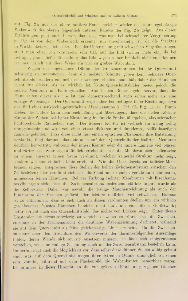 auf Fig. 2a nur der obere mittlere Rand, welcher wieder das sehr regelmässige Wabenwerk des oberen (eigentlich unteren) Randes der Fig. 2b zeigt, Aus diesen Erfahrungen geht auch hervor, dass das, was man bei schwächerer Vergrösserung (s. Fig. 4) von dem Wabenwerk erkennt, nur unvollständig ist; da die Struktur in Wirklichkeit viel feiner ist. Bei der Untersuchung mit sehwachen Vergrößerungen stellt man eben von vornherein sehr tief, auf das Bild zweiter Tiefe ein, da bei richtiger, grade tiefer Einstellung das Bild wegen seiner Feinheit nicht zu erkennen ist; man erhält auf diese Weise ein viel zu grobes Wabenbild. Wegen der ungemeinen Dünne der Grenzmembranen ist ihr Querschnitt schwierig zu untersuchen, denn die meisten Schnitte geben kein scharfes Quer- schnittsbild, sondern ein mehr oder weniger schiefes; man hält daher das Häutchen leicht für dicker, als es wirklich ist. Gute Querschnittsbilder bietet jedoch die isolirte Membran an Faltungsstellen. Aus beiden Bildern geht hervor, dass die Haut selten dicker als 1 (.t ist und dementsprechend auch selten mehr als eine einzige Wabenlage. Der Querschnitt zeigt daher bei richtiger tiefer Einstellung etwa das Bild eines senkrecht gestrichelten Alveolarsaums (s. Taf. 25, Fig. 11, a). Durch liehen des Tubus kann man sich häufig gut überzeugen, dass die hellen Lücken- räume der Waben bei hoher Einstellung in dunkle Punkte übergehen, also schwächer lichtbrechende Räumchen sind. Der äussere Kontur ist vielfach ein wenig wellig unregelmässig und wird von einer etwas dickeren und dunkleren, pellikula-artigen Lamelle gebildet. Dass diese nicht nur einem optischen Phänomen ihre Entstehung verdankt, folgt daraus, dass sie auch auf dem Querschnitt der isolirten Membran deutlich hervortritt, während der innere Kontur oder die innere Lamelle viel blässer und zarter ist. Sehr eigentümlich erscheint, dass die Membran sich stellenweise zu einem äusserst feinen Saum verdünnt, welcher keinerlei Struktur mehr zeigt, sondern wie eine einfache Linie erseheint. Wie die Umschlagsfalten isolirter Mem- branen zeigen, entsprechen diese Stellen der hellen Zwischensubstanz zwischen den Zellbezirken; hier verdünnt sich also die Membran zu einem gerade wahrnehmbaren, unmessbar feinen Häutchen. Bei der Färbung isolirter Membranen mit Eisenhäma- toxylin ergab sieh, dass die Zwischensubstanz bedeutend stärker tingirt wurde als die Zellbezirke. Dabei war sowohl die wabige Maschenzeichnung als auch der Innenraum der Maschen gefärbt, der letztere natürlich viel schwächer. Hieraus ist zu entnehmen, dass es sich auch an diesen verdünnten Stellen um ein wirklich geschlossenes feinstes Häutchen handelt, nicht etwa um ein offenes Gerüstwerk; dafür spricht auch das Querschnittsbild, das nichts von Lücken zeigt. Unter diesen Umständen ist etwas schwierig zu verstellen, woher es rührt, dass die Zwischen- substanz in der Flächenansicht die deutliche Wabenzeichnung darbietet, während sie auf dem Querschnitt als feine gleich massige Linie erscheint. Da die Zwischen- substanz aber den Ahschluss des Wabenwerks der darunterfolgenden Aussenlage bildet, deren Wände sich an sie ansetzen müssen, so lässt sich einigermassen verstehen, wie eine wabige Zeichnung auch an der Zwischensubstanz bestehen kann. Immerhin liegt auch die Möglichkeit vor, dass selbst diese dünnen Stellen wabig gebaut sind, was auf dem Querschnitt wegen ihrer extremen Dünne unmöglich zu sehen sein könnte, während auf dem Flächenbild die Wabenkanten bemerkbar wären. Ich erinnere in dieser Hinsicht an die zur grössten Dünne ausgezogenen Fädchen