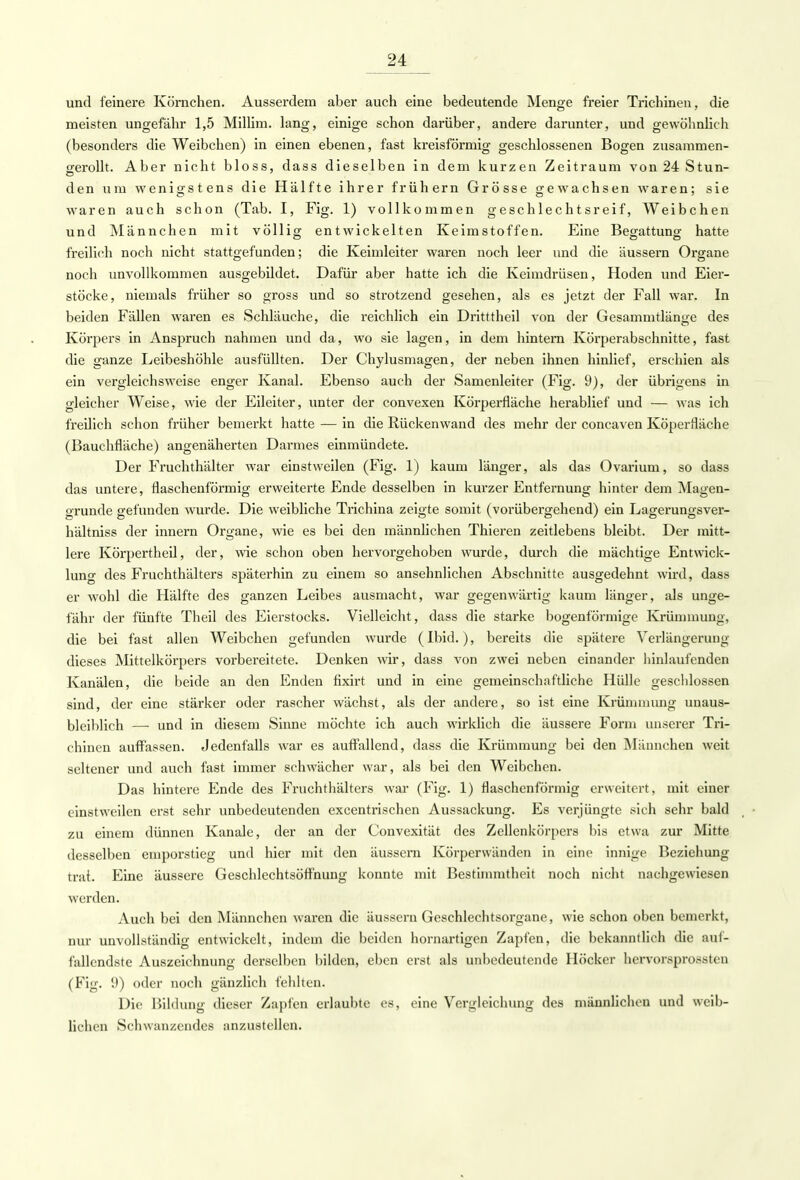 und feinere Körnchen. Ausserdem aber auch eine bedeutende Menge freier Trichinen, die meisten ungefähr 1,5 Millim. lang, einige schon darüber, andere darunter, und gewöhnlich (besonders die Weibchen) in einen ebenen, fast kreisförmig geschlossenen Bogen zusammen- gerollt. Aber nicht bloss, dass dieselben in dem kurzen Zeitraum von 24 Stun- den um wenigstens die Hälfte ihrer frühern Grösse gewachsen waren; sie waren auch schon (Tab. I, Fig. 1) vollkommen geschlechtsreif, Weibchen und Männchen mit völlig entwickelten Keimstoffen. Eine Begattung hatte freilich noch nicht stattgefunden; die Keimleiter waren noch leer und die äussern Organe noch unvollkommen ausgebildet. Dafür aber hatte ich die Keimdrüsen, Hoden und Eiei- stöcke, niemals früher so gross und so strotzend gesehen, als es jetzt der Fall war. In beiden Fällen waren es Schläuche, die reichlich ein Dritttheil von der Gesammtlänge des Körpers in Anspruch nahmen und da, wo sie lagen, in dem hintern Körperabschnitte, fast die ganze Leibeshöhle ausfüllten. Der Chylusmagen, der neben ihnen hinlief, erschien als ein vergleichsweise enger Kanal. Ebenso auch der Samenleiter (Fig. 9), der übrigens in gleicher Weise, wie der Eileiter, unter der convexen Körperfläche herablief und — was ich freilich schon früher bemerkt hatte — in die Rückenwand des mehr der concaven Köperfläche (Bauchfläche) angenäherten Darmes einmündete. Der Fruchthälter war einstweilen (Fig. 1) kaum länger, als das Ovarium, so dass das untere, flaschenförmig erweiterte Ende desselben in kurzer Entfernung hinter dem Magen- grunde gefunden wurde. Die weibliche Trichina zeigte somit (vorübergehend) ein Lagerungsver- hältniss der innern Organe, wie es bei den männlichen Thieren zeitlebens bleibt. Der mitt- lere Körpertheil, der, wie schon oben hervorgehoben wurde, durch die mächtige Entwick- lung des Fruchthälters späterhin zu einem so ansehnlichen Abschnitte ausgedehnt wird, dass er wohl die Hälfte des ganzen Leibes ausmacht, war gegenwärtig kaum länger, als unge- fähr der fünfte Theii des Eierstocks. Vielleicht, dass die starke bogenförmige Krümmung, die bei fast allen Weibchen gefunden wurde (Ibid.), bereits die spätere Verlängerimg dieses Mittelkörpers vorbereitete. Denken wir, dass von zwei neben einander hinlaufenden Kanälen, die beide an den Enden tixirt und in eine gemeinschaftliche Hülle geschlossen sind, der eine stärker oder rascher wächst, als der andere, so ist eine Krümmung unaus- bleiblich — und in diesem Sinne möchte ich auch wirklich die äussere Form unserer Tri- chinen auffassen. Jedenfalls war es auffallend, dass die Krümmung bei den Männchen weit seltener und auch fast immer schwächer war, als bei den Weibchen. Das hintere Ende des Fruchthälters war (Fig. 1) flaschenförmig erweitert, mit einer einstweilen erst sehr unbedeutenden excentrischen Aussackung. Es verjüngte sich sehr bald zu einem dünnen Kanäle, der an der Convexität des Zellenkörpers bis etwa zur Mitte desselben emporstieg und hier mit den äussern Körperwänden in eine innige Beziehung trat. Eine äussere Geschlechtsöffnung konnte mit Bestimmtheit noch nicht nachgewiesen werden. Auch bei den Männchen waren die äussern Geschlechtsorgane, wie schon oben bemerkt, nur unvollständig entwickelt, indem die beiden hornartigen Zapfen, die bekanntlich die auf- fallendste Auszeichnung derselben bilden, eben erst als unbedeutende Höcker hervorsprossten (Fig. 9) oder noch gänzlich fehlten. Die Bildung dieser Zapfen erlaubte es, eine Vergleichung des männlichen und weib- lichen Schwänzendes anzustellen.