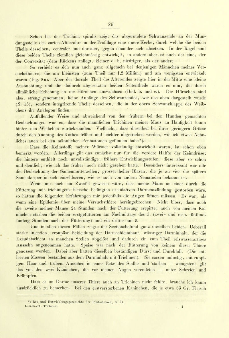 Schon bei der Trichina spiralis zeigt das abgerundete Schwanzende an der Mün- dungsstelle des zarten Afterrohrs in der Profillage eine quere Kerbe, durch welche die beiden Theile desselben, centraler und dorsaler, gegen einander sich absetzen. In der Regel sind diese beiden Theile ziemlich gleichmässig entwickelt, in andern aber ist auch der eine, der der Convexität (dem Rücken) anliegt, kleiner d. h. niedriger, als der andere. So verhielt es sich nun auch ganz allgemein bei denjenigen Männchen meines Ver- suchsthieres, die am kleinsten (zum Theil nur 1,2 Millim.) und am wenigsten entwickelt waren (Fig. 8 a). Aber der dorsale Theil des Afterendes zeigte hier in der Mitte eine kleine Ausbuchtung und die dadurch abgesetzten beiden Seitentheile waren es nun, die durch allmähliche Erhebung in die Hörnchen auswuchsen (Ibid. b. und c). Die Hörnchen sind also, streng genommen, keine Anhänge des Schwanzendes, wie das oben dargestellt wurde (S. 13), sondern integrirende Theile desselben, die in der obern Schwanzklappe des Weib- chens ihr Analogon finden. Auffallender Weise und abweichend von den frühern bei den Hunden gemachten Beobachtungen war es, dass die männlichen Trichinen meiner Maus an Häufigkeit kaum hinter den Weibchen zurückstanden. Vielleicht, dass dieselben bei ihrer geringem Grösse durch den Andrang des Kothes früher und leichter abgetrieben werden, wie ich etwas Aehn- liches auch bei den männlichen Pentastomen gefunden habe*). Dass die Keimstoffe meiner Würmer vollständig entwickelt waren, ist schon oben bemerkt worden. Allerdings gilt das zunächst nur für die vordere Hälfte der Keimdrüse; die hintere enthielt noch unvollständige, frühere Entwicklungsstufen, diese aber so schön und deutlich, wie ich das früher noch nicht gesehen hatte. Besonders interessant war mir die Beobachtung der Samenmutterzellen, grosser heller Blasen, die je zu vier die spätem Samenkörper in sich einschlössen, wie es auch von andern Nematoden bekannt ist. Wenn mir noch ein Zweifel gewesen wäre, dass meine Maus an einer durch die Fütterung mit trichinigem Fleische bedingten exsudativen Darmentzündung gestorben wäre, so hätten die folgenden Erfahrungen mir jedenfalls die Augen öffnen müssen. Es war, als wenn eine Epidemie über meine Versuchsthiere hereingebrochen. Nicht bloss, dass auch die zweite meiner Mäuse 24 Stunden nach der Fütterung crepirte, auch von meinen Ka- ninchen starben die beiden erstgefütterten am Nachmittage des 5. (zwei- und resp. fünfund- funfzig Stunden nach der Fütterung) und ein drittes am 9. Und in allen diesen Fällen zeigte der Sectionsbefund ganz dieselben Leiden. Ueberall starke Injection, croupöse Bekleidung der Darmschleimhaut, wässriger Darminhalt, der die Exsudatschicht an manchen Stellen abgelöst und dadurch ein zum Theil reiswasserartiges Aussehn angenommen hatte. Speise war nach der Fütterung von keinem dieser Thiere genossen worden. Dabei aber hatten dieselben beständigen Durst und Durchfall. (Die ent- leerten Massen bestanden aus dem Darminhalt mit Trichinen). Sie sassen unlustig, mit ruppi- gem Haar und trübem Aussehen in einer Ecke des Stalles und starben — wenigstens gilt das von den zwei Kaninchen, die vor meinen Augen verendeten — unter Schreien und Krämpfen. Dass es im Darme unserer Thiere auch an Trichinen nicht fehlte, brauche ich kaum ausdrücklich zu bemerken. Bei den erstverstorbenen Kaninchen, die je etwa 63 Gr. Fleisch *) Bau und Entwicklungsgeschichte der Pentastonien, S. 21. Leuckart, Trichinen. 1