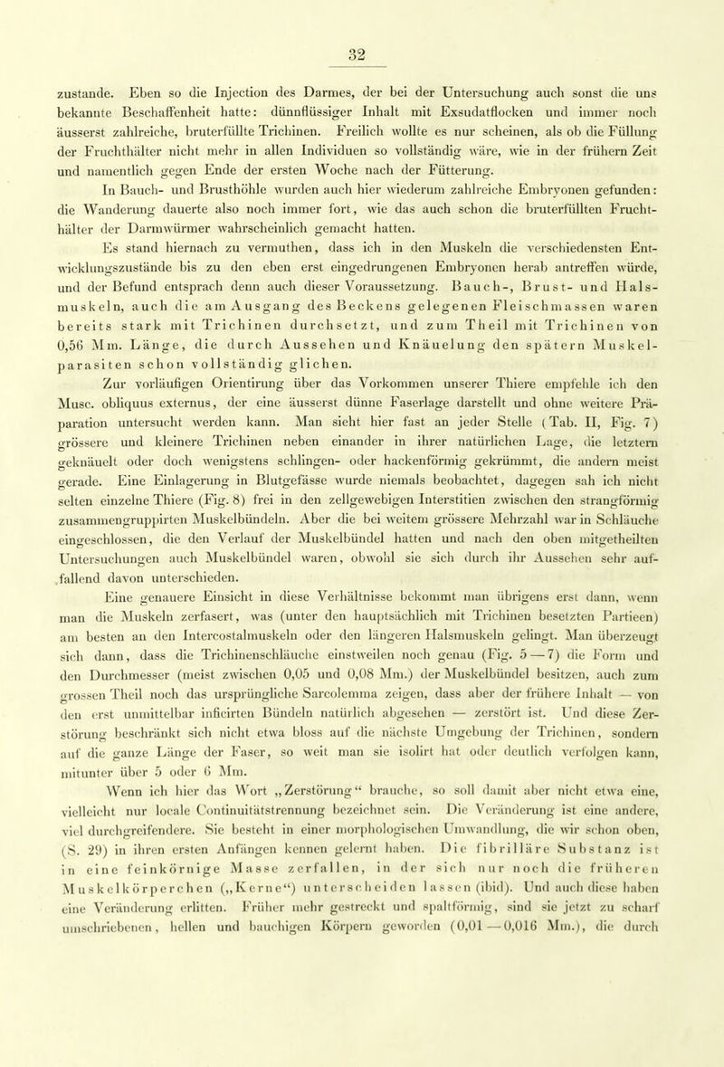 zustande. Eben so die Injection des Darmes, der bei der Untersuchung auch sonst die uns bekannte Beschaffenheit hatte: dünnflüssiger Inhalt mit Exsudatflocken und immer noch äusserst zahlreiche, bruterfüllte Trichinen. Freilich wollte es nur scheinen, als ob die Füllung der Fruchthalter nicht mehr in allen Individuen so vollständig wäre, wie in der frühern Zeit und namentlich gegen Ende der ersten Woche nach der Fütterung. In Bauch- und Brusthöhle wurden auch hier wiederum zahlreiche Embryonen gefunden: die Wanderung dauerte also noch immer fort, wie das auch schon die bruterlüllten Frucht- hälter der Darmwürmer wahrscheinlich gemacht hatten. Es stand hiernach zu vermuthen, dass ich in den Muskeln die verschiedensten Ent- wicklungszustände bis zu den eben erst eingedrungenen Embryonen herab antreffen würde, und der Befund entsprach denn auch dieser Voraussetzung. Bauch-, Brust- und Hals- muskeln, auch die am Ausgang des Beckens gelegenen Fleischmassen waren bereits stark mit Trichinen durchsetzt, und zum Theil mit Trichinen von 0,56 Mm. Länge, die durch Aussehen und Knäuelung den spätem Muskel- parasiten schon vollständig glichen. Zur vorläufigen Orientirung über das Vorkommen unserer Thiere empfehle ich den Muse, obliquus externus, der eine äusserst dünne Faserlage darstellt und ohne weitere Prä- paration untersucht werden kann. Man sieht hier fast an jeder Stelle (Tab. II, Fig. 7) grössere und kleinere Trichinen neben einander in ihrer natürlichen Lage, die letztem geknäuelt oder doch wenigstens schlingen- oder hackenförmig gekrümmt, die andern meist gerade. Eine Einlagerung in Blutgefässe wurde niemals beobachtet, dagegen sah ich nicht selten einzelne Thiere (Fig. 8) frei in den zellgewebigen Interstitien zwischen den strangförmig zusammengruppirten Muskelbündeln. Aber die bei weitem grössere Mehrzahl war in Schläuche eingeschlossen, die den Verlauf der Muskelbündel hatten und nach den oben mitgetheilten Untersuchungen auch Muskelbündel waren, obwohl sie sich durch ihr Aussehen sehr auf- fallend davon unterschieden. Eine genauere Einsicht in diese Verhältnisse bekommt man übrigens erst dann, wenn man die Muskeln zerfasert, was (unter den hauptsächlich mit Trichinen besetzten Partieen) am besten an den Intercostalmuskeln oder den längeren Halsmuskeln gelingt. Man überzeugt sich dann, dass die Trichinenschläuche einstweilen noch genau (Fig. 5 — 7) die Form und den Durchmesser (meist zwischen 0,05 und 0,08 Mm.) der Muskelbündel besitzen, auch zum grossen Theil noch das ursprüngliche Sarcolemma zeigen, dass aber der frühere Inhalt — von den erst unmittelbar inficirten Bündeln natürlich abgesehen — zerstört ist. Und diese Zer- störung beschränkt sich nicht etwa bloss auf die nächste Umgebung der Trichinen, sondern auf die ganze Länge der Faser, so weit man sie isolirt hat oder deutlich verfolgen kann, mitunter über 5 oder 6 Mm. Wenn ich hier das Wort „Zerstörung brauche, so soll damit aber nicht etwa eine, vielleicht nur locale Continuitätstrennung bezeichnet sein. Die Veränderung ist eine andere, viel durchgreifendere. Sie besteht in einer morphologischen Umwandlung, die wir schon oben, (S. 29) in ihren ersten Anfängen kennen gelernt haben. Die fibrilläre Substanz ist in eine feinkörnige Masse zerfallen, in der sich nur noch die früheren M u s k e 1 k ör per ch en („Kerne) unterscheiden 1 a s s e n (ibid). Und auch diese haben (.ine Veränderung erlitten. Früher mehr gestreckt und spaltförmig, sind sie jetzt zu scharf umschriebenen, hellen und bauchigen Körpern geworden (0,01—0,016 Mm.), die durch