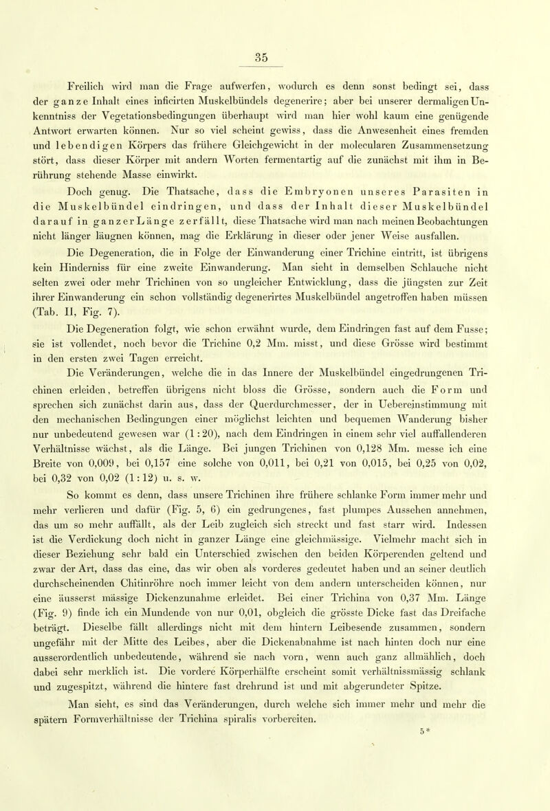 Freilich wird man die Frage aufwerfen, wodurch es denn sonst bedingt sei, dass der ganze Inhalt eines inficirten Muskelbündels degenerire; aber bei unserer dermaligen Un- kenntniss der Vegetationsbedingungen überhaupt wird man hier wohl kaum eine genügende Antwort erwarten können. Nur so viel scheint gewiss, dass die Anwesenheit eines fremden und lebendigen Körpers das frühere Gleichgewicht in der molecularen Zusammensetzung stört, dass dieser Körper mit andern Worten fermentartig auf die zunächst mit ihm in Be- rührung stehende Masse einwirkt. Doch genug. Die Thatsache, dass die Embryonen unseres Parasiten in die Muskelbündel eindringen, und dass der Inhalt dieser Muskelbündel darauf in ganzer Länge zerfällt, diese Thatsache wird man nach meinen Beobachtungen nicht länger läugnen können, mag die Erklärung in dieser oder jener Weise ausfallen. Die Degeneration, die in Folge der Einwanderung einer Trichine eintritt, ist übrigens kein Hinderniss für eine zweite Einwanderung. Man sieht in demselben Schlauche nicht selten zwei oder mehr Trichinen von so ungleicher Entwicklung, dass die jüngsten zur Zeit ihrer Einwanderung ein schon vollständig degenerirtes Muskelbündel angetroffen haben müssen (Tab. II, Fig. 7). Die Degeneration folgt, wie schon erwähnt wurde, dem Eindringen fast auf dem Fusse; sie ist vollendet, noch bevor die Trichine 0,2 Mm. misst, und diese Grösse wird bestimmt in den ersten zwei Tagen erreicht. Die Veränderungen, welche die in das Innere der Muskelbündel eingedrungenen Tri- chinen erleiden, betreffen übrigens nicht bloss die Grösse, sondern auch die Form und sprechen sich zunächst darin aus, dass der Querdurchmesser, der in Uebereinstimmung mit den mechanischen Bedingungen einer möglichst leichten und bequemen Wanderung bisher nur unbedeutend gewesen war (1:20), nach dem Eindringen in einem sehr viel auffallenderen Verhältnisse wächst, als die Länge. Bei jungen Trichinen von 0,128 Mm. messe ich eine Breite von 0,009, bei 0,157 eine solche von 0,011, bei 0,21 von 0,015, bei 0,25 von 0,02, bei 0,32 von 0,02 (1:12) u. s. w. So kommt es denn, dass unsere Trichinen ihre frühere schlanke Form immer mehr und mehr verlieren und dafür (Fig. 5, 6) ein gedrungenes, fast plumpes Aussehen annehmen, das um so mehr auffällt, als der Leib zugleich sich streckt und fast starr wird. Indessen ist die Verdickung doch nicht in ganzer Länge eine gleichmässige. Vielmehr macht sich in dieser Beziehung sehr bald ein Unterschied zwischen den beiden Körperenden geltend und zwar der Art, dass das eine, das wir oben als vorderes gedeutet haben und an seiner deutlich durchscheinenden Chitinröhre noch immer leicht von dem andern unterscheiden können, nur eine äusserst massige Dickenzunahme erleidet. Bei einer Trichina von 0,37 Mm. Länge (Fig. 9) finde ich ein Mundende von nur 0,01, obgleich die grösste Dicke fast das Dreifache beträgt. Dieselbe fällt allerdings nicht mit dem hintern Leibesende zusammen, sondern ungefähr mit der Mitte des Leibes, aber die Dickenabnahme ist nach hinten doch nur eine ausserordentlich unbedeutende, während sie nach vorn, wenn auch ganz allmählich, doch dabei sehr merklich ist. Die vordere Körperhälfte erscheint somit verhältnissmässig schlank und zugespitzt, während die hintere fast drehrund ist und mit abgerundeter Spitze. Man sieht, es sind das Veränderungen, durch welche sich immer mehr und mehr die spätem Formverhältnisse der Trichina sph'alis vorbex*eiten. 5*