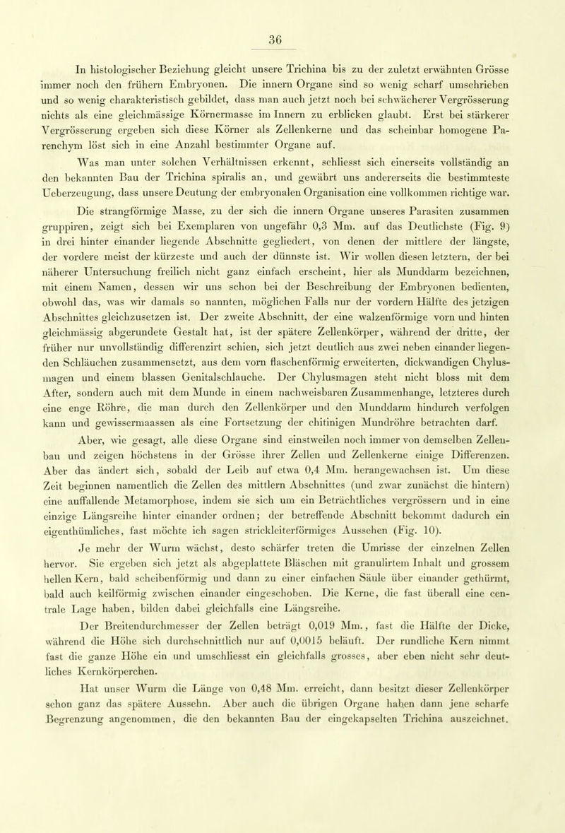 In histologischer Beziehung gleicht unsere Trichina bis zu der zuletzt erwähnten Grösse immer noch den frühern Embryonen. Die innern Organe sind so wenig scharf umschrieben und so wenig charakteristisch gebildet, dass man auch jetzt noch bei schwächerer Vergrösserung nichts als eine gleichmässige Körnermasse im Innern zu erblicken glaubt. Erst bei stärkerer Vergrösserung ergeben sich diese Körner als Zellenkerne und das scheinbar homogene Pa- renchym löst sich in eine Anzahl bestimmter Organe auf. Was man unter solchen Verhältnissen erkennt, schliesst sich einerseits vollständig an den bekannten Bau der Trichina spiralis an, und gewährt uns andererseits die bestimmteste Ueberzeugung, dass unsere Deutung der embryonalen Organisation eine vollkommen richtige war. Die strangförmige Masse, zu der sich die innern Organe unseres Parasiten zusammen gruppiren, zeigt sich bei Exemplaren von ungefähr 0,3 Mm. auf das Deutlichste (Fig. 9) in drei hinter einander liegende Abschnitte gegliedert, von denen der mittlere der längste, der vordere meist der kürzeste und auch der dünnste ist. Wir wollen diesen letztern, der bei näherer Untersuchung freilich nicht ganz einfach erscheint, hier als Munddarm bezeichnen, mit einem Namen, dessen wir uns schon bei der Beschreibung der Embryonen bedienten, obwohl das, was wir damals so nannten, möglichen Falls nur der vordem Hälfte des jetzigen Abschnittes gleichzusetzen ist. Der zweite Abschnitt, der eine walzenförmige vorn und hinten gleichmässig abgerundete Gestalt hat, ist der spätere Zellenkörper, während der dritte, der früher nur unvollständig differenzirt schien, sich jetzt deutlich aus zwei neben einander liegen- den Schläuchen zusammensetzt, aus dem vorn flaschenförmig erweiterten, dickwandigen Chylus- magen und einem blassen Genitalschlauche. Der Chylusmagen steht nicht bloss mit dem After, sondern auch mit dem Munde in einem nachweisbaren Zusammenhange, letzteres durch eine enge Röhre, die man durch den Zellenkörper und den Munddarm hindurch verfolgen kann und gewissermaassen als eine Fortsetzung der chitinigen Mundröhre betrachten darf. Aber, wie gesagt, alle diese Organe sind einstweilen noch immer von demselben Zelleu- bau und zeigen höchstens in der Grösse ihrer Zellen und Zellenkerne einige Differenzen. Aber das ändert sich, sobald der Leib auf etwa 0,4 Mm. herangewachsen ist. Um diese Zeit beginnen namentlich die Zellen de3 mittlem Abschnittes (und zwar zunächst die hintern) eine auffallende Metamorphose, indem sie sich um ein Beträchtliches vergrössern und in eine einzige Längsreihe hinter einander ordnen; der betreffende Abschnitt bekommt dadurch ein eigenthümliches, fast möchte ich sagen strickleiterförmiges Aussehen (Fig. 10). Je mehr der Wurm wächst, desto schärfer treten die Umrisse der einzelnen Zellen hervor. Sie ergeben sich jetzt als abgeplattete Bläschen mit granulirtem Inhalt und grossem hellen Kern, bald scheibenförmig und dann zu einer einfachen Säule über einander gethürmt, bald auch keilförmig zwischen einander eingeschoben. Die Kerne, die fast überall eine cen- trale Lage haben, bilden dabei gleichfalls eine Längsreihe. Der Breitendurchmesser der Zellen beträgt 0,019 Mm., fast die Hälfte der Dicke, während die Höhe sich durchschnittlich nur auf 0,0015 beläuft. Der rundliche Kern nimmt fast die ganze Höhe ein und umschliesst ein gleichfalls grosses, aber eben nicht sehr deut- liches Kcrnkörperchen. Hat unser Wurm die Länge von 0,48 Mm. erreicht, dann besitzt dieser Zellenkörper schon ganz das spätere Aussehn. Aber auch die übrigen Organe haben dann jene scharfe Begrenzung angenommen, die den bekannten Hau der eingekapselten Trichina auszeichnet.