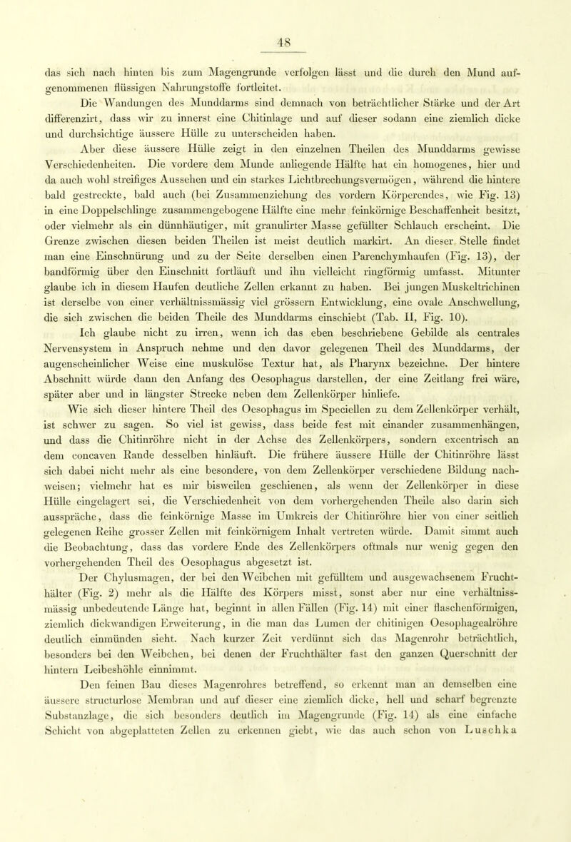 das sich nach hinten bis zum Magengrunde verfolgen lässt und die durch den Mund auf- genommenen flüssigen Nahrungstoffe fortleitet. Die Wandungen des Munddarms sind demnach von beträchtlicher Stärke und der Art diff'erenzirt, dass wir zu innerst eine Chitinlage und auf dieser sodann eine ziemlich dicke und durchsichtige äussere Hülle zu unterscheiden haben. Aber diese äussere Hülle zeigt in den einzelnen Theilen des Munddarms gewisse Verschiedenheiten. Die vordere dem Munde anliegende Hälfte hat ein homogenes, hier und da auch wohl streifiges Aussehen und ein starkes Lichtbrechungsvermögen, während die hintere bald gestreckte, bald auch (bei Zusammenziehung des vordem Körperendes, wie Fig. 13) in eine Doppelschlinge zusammengebogene Hälfte eine mehr feinkörnige Beschaffenheit besitzt, oder vielmehr als ein dünnhäutiger, mit granulirter Masse gefüllter Schlauch erscheint. Die Grenze zwischen diesen beiden Theilen ist meist deutlich markirt. An dieser Stelle findet man eine Einschnürung und zu der Seite derselben einen Parenchymhaufen (Fig. 13), der bandförmig über den Einschnitt fortläuft und ihn vielleicht ringförmig umfasst. Mitunter glaube ich in diesem Haufen deutliche Zellen erkannt zu haben. Bei jungen Muskeltrichinen ist derselbe von einer verhältnissmässig viel grössern Entwicklung, eine ovale Anschwellung, die sich zwischen die beiden Theile des Munddarms einschiebt (Tab. II, Fig. 10). Ich glaube nicht zu irren, wenn ich das eben beschriebene Gebilde als centrales Nervensystem in Anspruch nehme und den davor gelegenen Theil des Munddarms, der augenscheinlicher Weise eine muskulöse Textur hat, als Pharynx bezeichne. Der hintere Abschnitt würde dann den Anfang des Oesophagus darstellen, der eine Zeitlang frei wäre, später aber und in längster Strecke neben dem Zellenkörper hinliefe. Wie sich dieser hintere Theil des Oesophagus im Speciellen zu dem Zellenkörper verhält, ist schwer zu sagen. So viel ist gewiss, dass beide fest mit einander zusammenhängen, und dass die Chitinröhre nicht in der Achse des Zellenkörpers, sondern excentrisch an dem concaven Rande desselben hinläuft. Die frühere äussere Hülle der Chitinröhre lässt sich dabei nicht mehr als eine besondere, von dem Zellenkörper verschiedene Bildung nach- weisen; vielmehr hat es mir bisweilen geschienen, als wenn der Zellenkörper in diese Hülle cino.elas'ert sei, die Verschiedenheit von dem vorhergehenden Theile also darin sich ausspräche, dass die feinkörnige Masse im Umkreis der Chitinröhre hier von einer seitlieh gelegenen Reihe grosser Zellen mit feinkörnigem Inhalt vertreten würde. Damit simmt auch die Beobachtung, dass das vordere Ende des Zellenkörpers oftmals nur wenig gegen den vorhergehenden Theil des Oesophagus abgesetzt ist. Der Chylusmagen, der bei den Weibchen mit gefülltem und ausgewachsenem Frucht- hälter (Fig. 2) mehr als die Hälfte des Körpers misst, sonst aber nur eine verhältniss- mässig unbedeutende Länge hat, beginnt in allen Fällen (Fig. 14) mit einer flaschenförmigen, ziemlich dickwandigen Erweiterung, in die man das Lumen der chitinigen Oesophagcalröhrc deutlich einmünden sieht. Nach kurzer Zeit verdünnt sich das Magenrohr beträchtlich, besonders bei den Weibehen, bei denen der Fruchthälter fast den ganzen Querschnitt der hintern Leibeshöhle einnimmt. Den feinen Bau dieses Magenrohrcs betreffend, so erkennt man an demselben eine äussere structurlose Membran und auf dieser eine ziemlich dicke, hell und scharf begrenzte Substauzlage, die sich besonders deutlich im Magengrunde (Fig. 14) als eine einfache Schicht von abgeplatteten Zellen zu erkennen giebt, wie das auch schon von Luschka