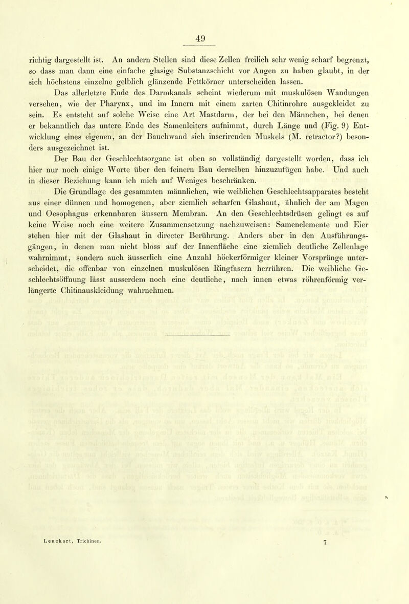richtig dargestellt ist. An andern Stellen sind diese Zellen freilich sehr wenig scharf begrenzt, so dass man dann eine einfache glasige Substanzschicht vor Augen zu haben glaubt, in der sich höchstens einzelne gelblich glänzende Fettkörner unterscheiden lassen. Das allerletzte Ende des Darmkanals scheint wiederum mit muskulösen Wandungen versehen, wie der Pharynx, und im Innern mit einem zarten Chitinrohre ausgekleidet zu sein. Es entsteht auf solche Weise eine Art Mastdarm, der bei den Männchen, bei denen er bekanntlich das untere Ende des Samenleiters aufnimmt, durch Länge und (Fig. 9) Ent- wicklung eines eigenen, an der Bauch wand sich inserirenden Muskels (M. retractor?) beson- ders ausgezeichnet ist. Der Bau der Geschlechtsorgane ist oben so vollständig dargestellt worden, dass ich hier nur noch einige Worte über den feinern Bau derselben hinzuzufügen habe. Und auch in dieser Beziehung kann ich mich auf Weniges beschränken. Die Grundlage des gesammten männlichen, wie weiblichen Geschlechtsapparates besteht aus einer dünnen und homogenen, aber ziemlich scharfen Glashaut, ähnlich der am Magen und Oesophagus erkennbaren äussern Membran. An den Geschlechtsdrüsen gelingt es auf keine Weise noch eine weitere Zusammensetzung nachzuweisen: Samenelemente und Eier stehen hier mit der Glashaut in directer Berührung. Anders aber in den Ausführungs- gängen, in denen man nicht bloss auf der Innenfläche eine ziemlich deutliche Zellenlage wahrnimmt, sondern auch äusserlich eine Anzahl höckerförmiger kleiner Vorsprünge unter- scheidet, die offenbar von einzelnen muskulösen Ringfasern herrühren. Die weibliche Ge- schlechtsöffnung lässt ausserdem noch eine deutliche, nach innen etwas röhrenförmig ver- längerte Chitinauskleidung wahrnehmen. Leuckart, Trichinen. 7