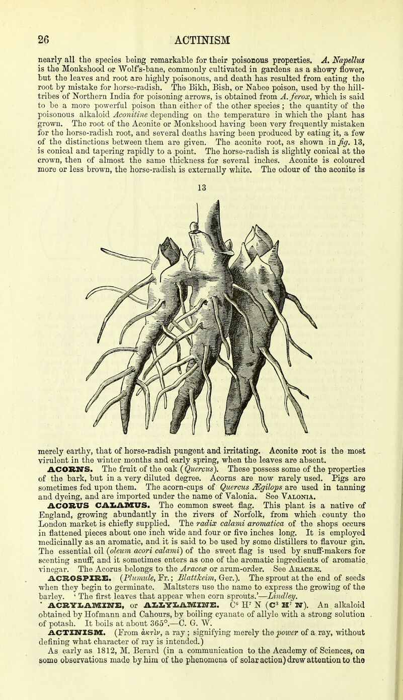 nearly all tlio species being remarkable for their poisonous properties. A. Napellus is the Monkshood or Wolf's-bane, commonly cultivated in gardens as a showy flower, but the leaves and root are highly poisonous, and death has resulted from eating the root by mistake for horso-radish. The Bikh, Bish, or Nabee poison, used by the hill- tribes of Northern India for poisoning arrows, is obtained from A.ferox, which is said to be a mora powerful poison than either of the other species ; the quantity of the poisonous alkaloid Aconitinc depending on the temperature in which the plant has grown. The root of the Aconite or Monkshood having been very frequently mistaken for the horse-radish root, and several deaths having been produced by eating it, a few of the distinctions between them are given. The aconite root, as shown in fig. 13, is conical and tapering rapidly to a point. The horse-radish is slightly conical at the crown, then of almost the same thickness for several inches. Aconite is coloured more or less brown, the horse-radish is externally white. The odour of the aconite is 13 merely earthy, that of horse-radish pungent and irritating. Aconite root is the most virulent in the winter months and early spring, when the leaves are absent. ACORN'S. The fruit of the oak (Qucrcus). These possess some of the properties of the bark, but in a very diluted degree. Acorns are now rarely used. Pigs are sometimes fed upon them. The acorn-cups of Quereus Mgilops are used in tanning and dyeing, and are imported under the name of Valonia. See Vaxonia. ACORITS CAIiAiaVS. The common sweet flag. This plant is a native of England, growing abundantly in the rivers of Norfolk, from which county the London market is chiefly supplied. The radix calami aromatica of the shops occurs in flattened pieces about one inch wide and four or five inches long. It is employed medicinally as an aromatic, and it is said to be used by some distillers to flavour gin. The essential oil {oleum acori calami) of the sweet flag is used by snulf-makers for scenting snufF, and it sometimes enters as one of the aromatic ingredients of aromatic, ■^•inegar. The Acorus belongs to the Aracecs or arum-order. See AEACEiE. ACROSPXRE. (Flumicle,FT.; Blaitkei?n, Gei:). The sprout at the end of seeds when they begin to germinate. Maltsters use the name to express the growing of the barley. ' The flrst leaves that appear when corn sprouts.'—lAndley. ■ ACRVX.A.nXXIO'E, or AlaZiVZiAIVIXXTE. H' N (C^ H' Iff). An alkaloid obtained by Hofmann and Cahours, by boiling cyanate of allyle with a strong solution of potash. It boils at about 365°.—C. G. W. ACTXXTXSM. (From o-ktIv, a ray ; signifying merely the power of a ray, without defining what character of ray is intended.) As early as 1812, M. Berard (in a communication to the Academy of Sciences, on some observations made by him of the phenomena of solar action) drew attention to the