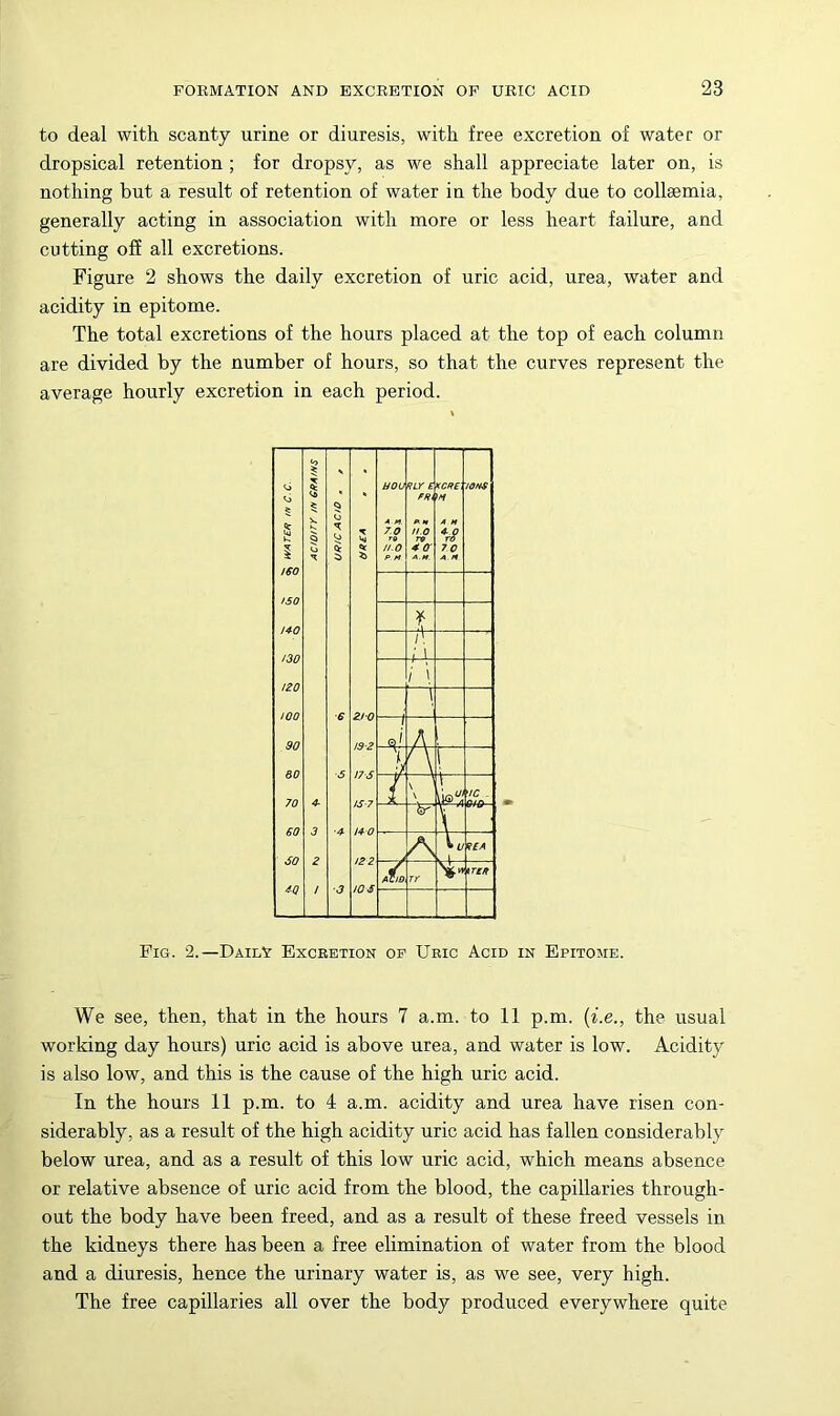 to deal with scanty urine or diuresis, with free excretion of water or dropsical retention ; for dropsy, as we shall appreciate later on, is nothing but a result of retention of water in the body due to collsemia, generally acting in association with more or less heart failure, and cutting off all excretions. Figure 2 shows the daily excretion of uric acid, urea, water and acidity in epitome. The total excretions of the hours placed at the top of each column are divided by the number of hours, so that the curves represent the average hourly excretion in each period. Fig. 2.—Daily Excretion op Uric Acid in Epitome. We see, then, that in the hours 7 a.m. to 11 p.m. {i.e., the usual working day hours) uric acid is above urea, and water is low. Acidity is also low, and this is the cause of the high uric acid. In the hours 11 p.m. to 4 a.m. acidity and urea have risen con- siderably, as a result of the high acidity uric acid has fallen considerably below urea, and as a result of this low uric acid, which means absence or relative absence of uric acid from the blood, the capillaries through- out the body have been freed, and as a result of these freed vessels in the kidneys there has been a free elimination of water from the blood and a diuresis, hence the urinary water is, as we see, very high. The free capillaries all over the body produced everywhere quite