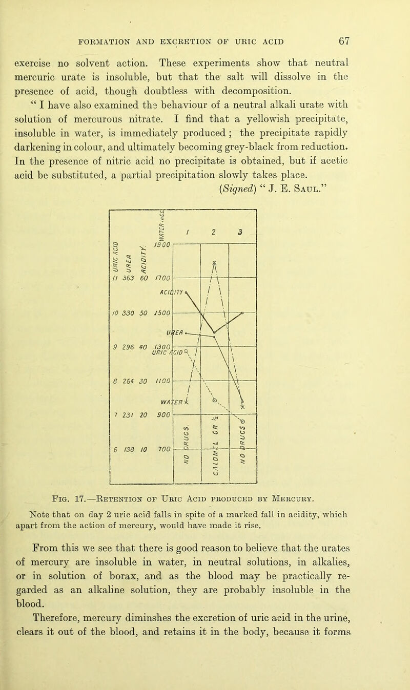 exercise no solvent action. These experiments show that neutral mercuric urate is insoluble, but that the salt will dissolve in the presence of acid, though doubtless with decomposition. “ I have also examined the behaviour of a neutral alkali urate with solution of mercurous nitrate. I find that a yellowish precipitate, insoluble in water, is immediately produced ; the precipitate rapidly darkening in colour, and ultimately becoming grey-black from reduction. In the presence of nitric acid no precipitate is obtained, but if acetic acid be substituted, a partial precipitation slowly takes place. [Signed) “ J. E. Saul.” Fig. 17.—Retention op Uric Acid produced by Mercury. Note that on day 2 uric acid falls in spite of a marked fall in acidity, which apart from the action of mercury, would have made it rise. From this we see that there is good reason to believe that the urates of mercury are insoluble in water, in neutral solutions, in alkalies, or in solution of borax, and as the blood may be practically re- garded as an alkaline solution, they are probably insoluble in the blood. Therefore, mercury diminshes the excretion of uric acid in the urine, clears it out of the blood, and retains it in the body, because it forms