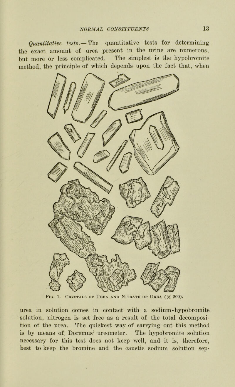 Quantitative tests.—The quantitative tests for determining the exact amount of urea present in the urine are numerous, but more or less complicated. The simplest is the hypobromite method, the principle of which depends upon the fact that, when Fig. 1. Crystals of Urea and Nitrate of Urea (X 200). urea in solution comes in contact with a sodium-hypobromite solution, nitrogen is set free as a result of the total decomposi- tion of the urea. The quickest way of carrying out this method is by means of Doremus’ ureometer. The hypobromite solution necessary for this test does not keep well, and it is, therefore, best to keep the bromine and the caustic sodium solution sep-