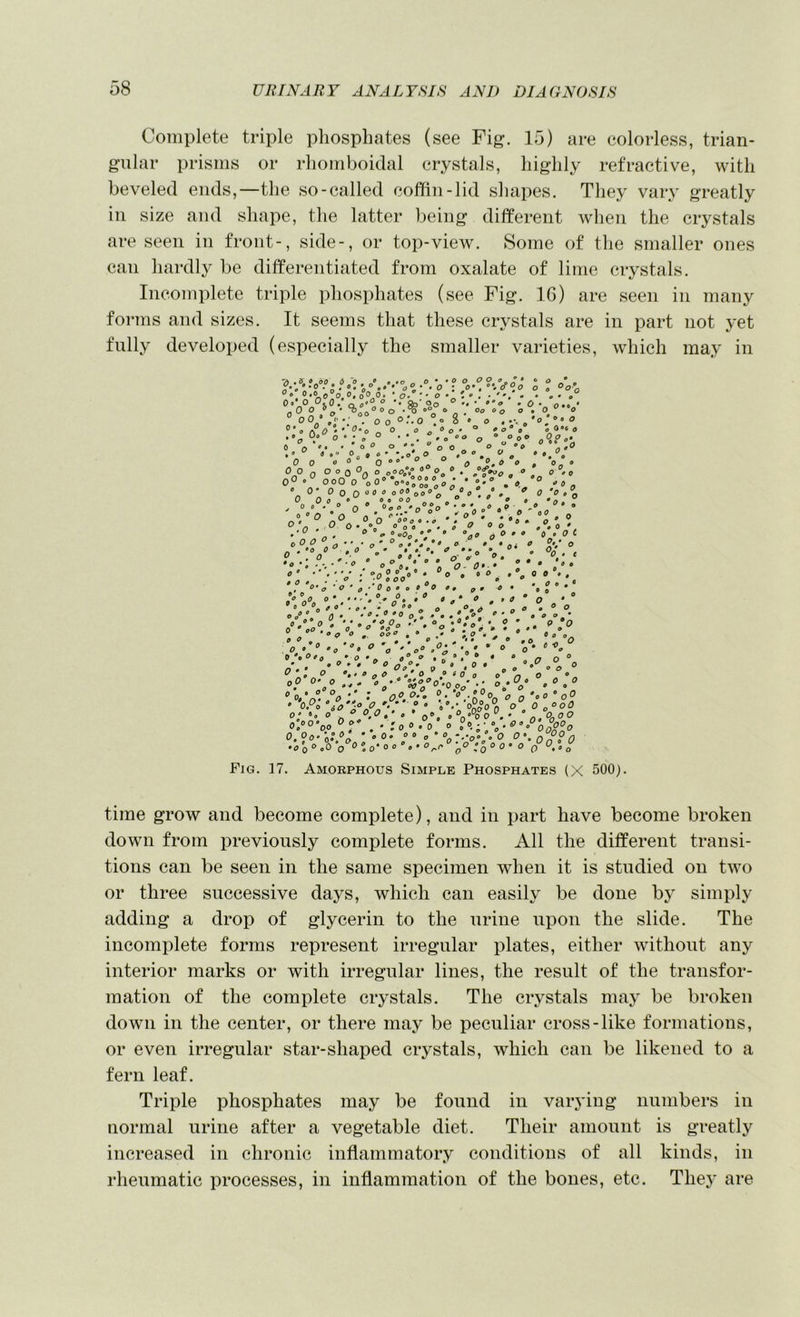 Complete triple phosphates (see Fig. 15) are colorless, trian- gular prisms or rhomboidal crystals, highly refractive, with beveled ends,—the so-called coffin-lid shapes. They vary greatly in size and shape, the latter being different when the crystals are seen in front-, side-, or top-view. Some of tlie smaller ones can hardly be differentiated from oxalate of lime crystals. Incomplete triple phosphates (see Fig. 16) are seen in many forms and sizes. It seems that these crystals are in part not yet fully developed (especially the smaller varieties, which may in Oo‘ O 0. 0, - o '. go Oo ° • o‘o -O’ 0.0 < -00 o' ‘°ao ® ® O • ^ 0 „ 0.0° 0 ° 0 . O 0 ® '• O o 8 0 o . * 0 * ° « .0° 0o° O . . / O . • , oo o <• OoO .0o„. 0 '’o'c. . • oO o •• “ o O ^  -o ‘'o.O 0 0 0  ° ° a ° 0,0 0 0 0 Q O o qO o o00f,‘ ® °o ° • /f'^0 o  , O'O 0° OOO 0 oO® 'o-ot^oooO; * .0 ° •’On <• O' 0 0 O^oo o09oo0°o V®' /♦. ^ '‘’o O ^ 0 ' Q  °o\ o°‘ n  O ° ‘ \ o *° * » 0° ° ^ ' o’o'o ^ * o 0  “oO 0 - ■ - -n 0'^ >0' . t ' ‘ O • • *0 0 0 O •  n ’ 0 0 0 . . o , 0 00 , 00 ^ » 0 • -0 I ■ ’' /A” 7' •' - o * ®' ^ .n ” 9 0 OO” ,  _ • r.O'o, <00-  '•'® ' °o °'o> ‘ - - • ’• ° ?1o ° • ® O 0 O ^ 0 0 * ®. , e o. o • .00, ' * . » ® 0 t a o * o o a ®*o - O^.' o 0' p 0 • 00.  o^’o 00° ' ' ° 0 . » • 0 »• , ® o o’O o,'°0 P Vo'o°\°^‘\’ * O o“ O'. O o „ o O ^ .0 t 0^ ° « o d ^ o ^ ^*0 ° o ff 9 o ^ 0 ‘ 0 0 o n oO O'O.,, ®0* °'0Oo' °o*^' «■'»'  oPo io 1°rPA' ?° i*’ °A(?on °o ° n o°'° A ® o®. 0 °o’’^oo • 0>°0°° o:®o“oo^f' .'loOoo 0 o0.-^\%‘^°°0oP°O ' Ooo'nt ' O 0 • 0 0 o * *.*o» o 0 0 /O o 0 ° «0 ‘o 0 ‘’o0'0°°0'O^r-°'^o O'^OO' o Fig. 17. Amorphous Simple Phosphates (X 500). time grow and become complete), and in part have become broken down from previously complete forms. All the different transi- tions can be seen in the same specimen when it is studied on two or three successive days, which can easily be done by simply adding a drop of glycerin to the urine upon the slide. The incomplete forms represent irregular plates, either without any interior marks or with irregular lines, the result of the transfor- mation of the complete crystals. The crystals may be broken down in the center, or there may be peculiar cross-like formations, or even irregular star-shaped crystals, which can be likened to a fern leaf. Triple phosphates may be found in varying numbers in normal urine after a vegetable diet. Their amount is greatly increased in chronic inflammatory conditions of all kinds, in rheumatic processes, in inflammation of the bones, etc. Thej* are