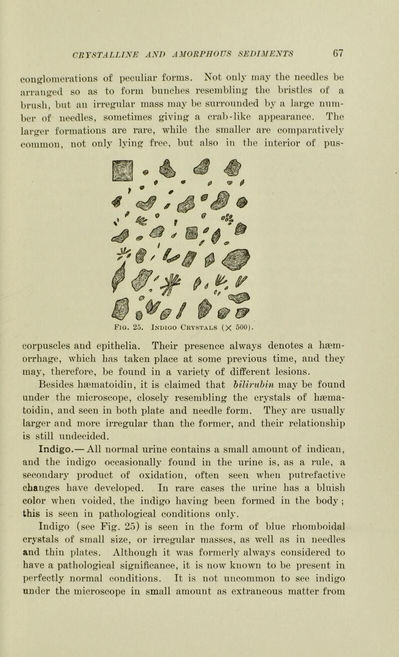 conglomenitioiis of peculiar forms. Not only may the needles be arranged so as to form bunches resembling the bristles of a brush, but an irregular mass may be snrronnded by a large num- ber of needles, sometimes giving a crab-like ai)pearance. The lar ger formations are rare, while the smaller are coni])aratively common, not only lying free, but also in the interior of pus- Fig. 25. Indigo Crystals (X 500). corpuscles and epithelia. Their presence always denotes a haem- orrhage, which has taken place at some previous time, and they may, therefore, be found in a variety of different lesions. Besides haematoidin, it is claimed that bilirubm may be found under the microscope, closely resembling the crystals of haema- toidin, and seen in both plate and needle form. They are usnally larger and more irregular than the former, and their relationship is still undecided. Indigo.— All normal urine contains a small amount of indican, and the indigo occasionally found in the urine is, as a i*ule, a secondary product of oxidation, often seen when putrefactive changes have developed. In rare cases the urine has a bluish color when voided, the indigo having been formed in the body ; this is seen in pathological conditions only. Indigo (see Fig. 25) is seen in the form of blue rhomboidal crystals of small size, or irregular masses, as well as iu needles and thin plates. Although it was formerly always considered to have a pathological significance, it is now known to be present in pei’fectly normal conditions. It is not uncommon to see indigo under the microscope in small amount as extraneous matter from