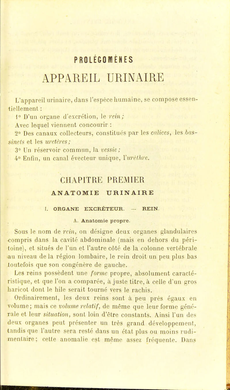 PROLEGOmENES APPAREIL URINAIRE L'appareil urinaire, dans l'espèce humaine, se compose essen- tiellement : 1° D'un organe d'excrétion, le rein; Avec lequel viennent concourir : 2 Des canaux collecteurs, constitués par les calices, les bas- sinets et les uretères; 3° Un réservoir commun, la vessie; 4 Enfin, un canal évecleur unique, Viirèthre. CHAPITRE PREMIER ANATOMIE URINAIRE I. ORGANE EXCKÉTEUR. — REIN. A. Anatomie propre. Sous le nom de rein, on désigne deux, organes glandulaires compris dans la cavité abdominale (mais en dehors du péri- toine), et situés de l'un et l'autre côté de la colonne vertébrale au niveau delà région lombaire, le rein droit un peu plus bas toutefois que son congénère de gauche. Les reins possèdent une forme propre, absolument caracté- ristique, et que l'on a comparée, ajuste titre, à celle d'un gros haricot dont le hile serait tourné vers le rachis. Ordinairement, les deux reins sont à peu près égaux en volume; mais ce volume relatif, de même que leur forme géné- rale et leur situation, sont loin d'être constants. Ainsi l'un des deux organes peut présenter un très grand développement, tandis que l'autre sera resté dans un état plus ou moins rudi- mentaire; cette anomalie est même assez fréquente. Dans