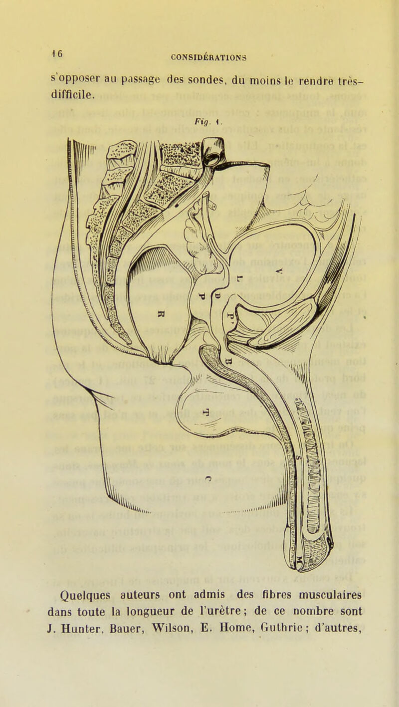 s'opposer au passage des sondes, du moins le rendre très- difficile. Fig. i. Quelques auteurs ont admis des fibres musculaires dans toute la longueur de l'urètre; de ce nombre sont J. Hunter, Bauer, Wilson, E. Home, Gulliric; d'autres,