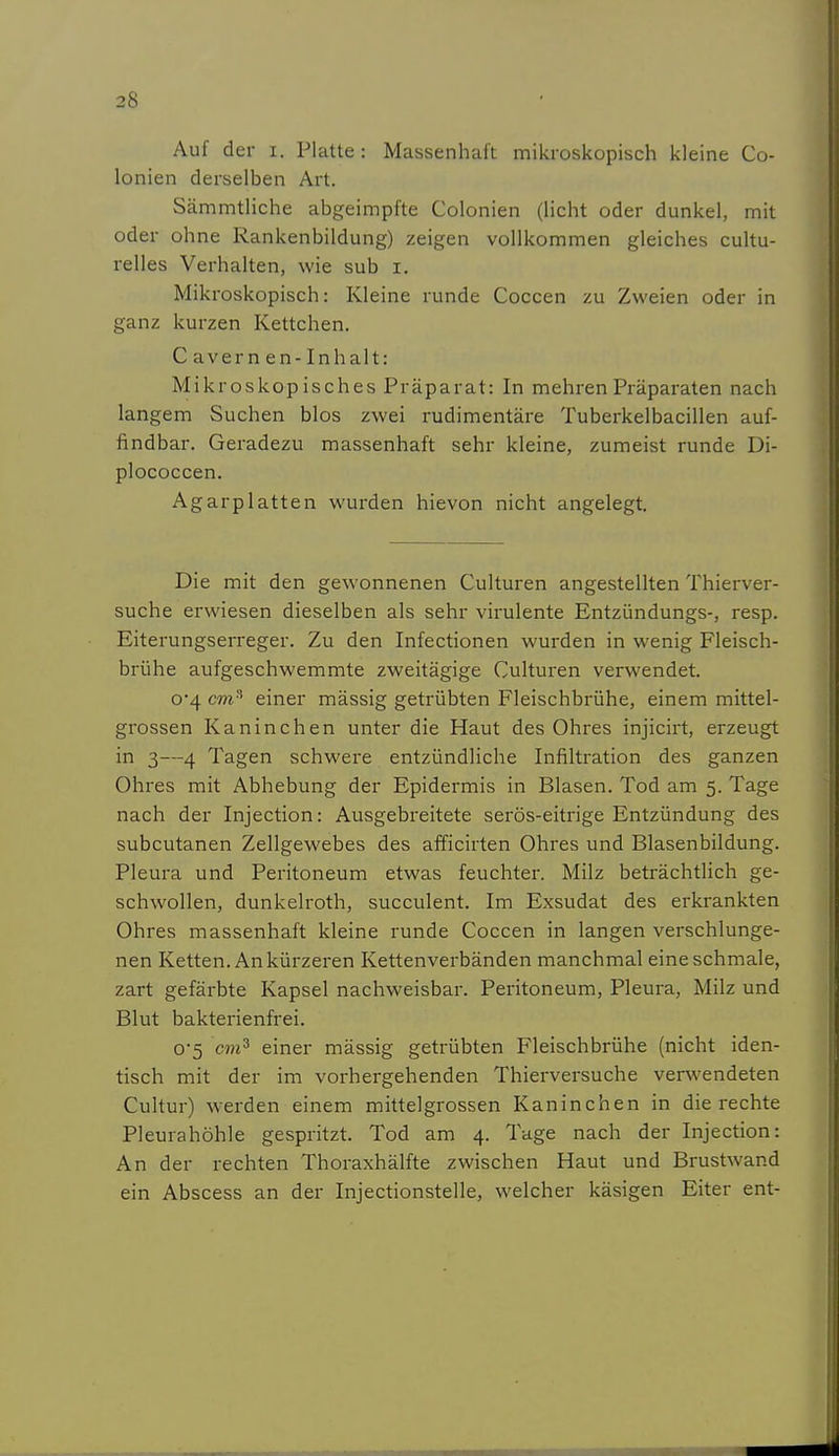 Auf der i. Platte : Massenhaft mikroskopisch kleine Co- lonien derselben Art. Sämmtliche abgeimpfte Colonien (licht oder dunkel, mit oder ohne Rankenbildung) zeigen vollkommen gleiches cultu- relles Verhalten, wie sub i. Mikroskopisch: Kleine runde Coccen zu Zweien oder in ganz kurzen Kettchen. C avern en- Inhalt: Mikroskopisches Präparat: In mehren Präparaten nach langem Suchen blos zwei rudimentäre Tuberkelbacillen auf- findbar. Geradezu massenhaft sehr kleine, zumeist runde Di- plococcen. Agarplatten wurden hievon nicht angelegt. Die mit den gewonnenen Culturen angestellten Thierver- suche erwiesen dieselben als sehr virulente Entzündungs-, resp. Eiterungserreger. Zu den Infectionen wurden in wenig Fleisch- brühe aufgeschwemmte zweitägige Culturen verwendet. o'4 cm' einer mässig getrübten Fleischbrühe, einem mittel- grossen Kaninchen unter die Haut des Ohres injicirt, erzeugt in 3—4 Tagen schwere entzündliche Infiltration des ganzen Ohres mit Abhebung der Epidermis in Blasen. Tod am 5. Tage nach der Injection: Ausgebreitete serös-eitrige Entzündung des subcutanen Zellgewebes des afficirten Ohres und Blasenbildung. Pleura und Peritoneum etwas feuchter. Milz beträchtlich ge- schwollen, dunkelroth, succulent. Im Exsudat des erkrankten Ohres massenhaft kleine runde Coccen in langen verschlunge- nen Ketten. An kürzeren Kettenverbänden manchmal eine schmale, zart gefärbte Kapsel nachweisbar. Peritoneum, Pleura, Milz und Blut bakterienfrei. 05 cm^ einer mässig getrübten Fleischbrühe (nicht iden- tisch mit der im vorhergehenden Thierversuche verwendeten Cultur) w^erden einem mittelgrossen Kaninchen in die rechte Pleurahöhle gespritzt. Tod am 4. Tage nach der Injection: An der rechten Thoraxhälfte zwischen Haut und Brustwand ein Abscess an der Injectionstelle, welcher käsigen Eiter ent-