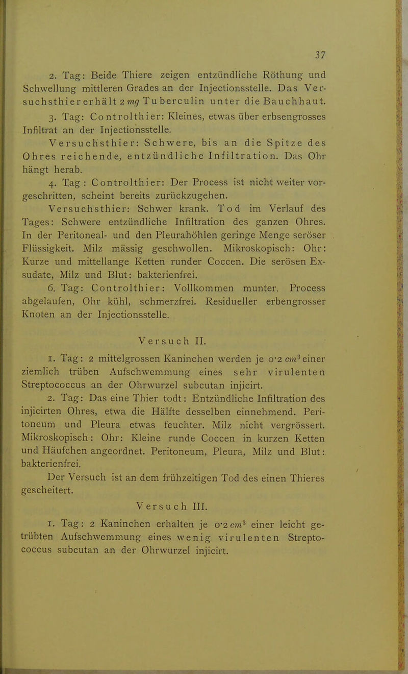 2. Tag: Beide Thiere zeigen entzündliche Röthung und Schwellung mittleren Grades an der Injectionsstelle. Das Ver- suchsthier erhält 2 wi<jf Tu berculin unter die Bauchhaut. 3. Tag: Co ntrolthier: Kleines, etwas über erbsengrosses Infiltrat an der Injectionsstelle. Versuchsthier: Schwere, bis an die Spitze des Ohres reichende, entzündliche Infiltration. Das Ohr hängt herab. 4. Tag: Controlthier: Der Process ist nicht weiter vor- geschritten, scheint bereits zurückzugehen. Versuchsthier: Schwer krank. Tod im Verlauf des Tages: Schwere entzündliche Infiltration des ganzen Ohres. In der Peritoneal- und den Pleurahöhlen geringe Menge seröser Flüssigkeit. Milz mässig geschwollen. Mikroskopisch: Ohr: Kurze und mittellange Ketten runder Coccen. Die serösen Ex- sudate, Milz und Blut: bakterienfrei. 6. Tag: Controlthier: Vollkommen munter. Process abgelaufen, Ohr kühl, schmerzfrei. Residueller erbengrosser Knoten an der Injectionsstelle. V e r s u c h II. 1. Tag: 2 mittelgrossen Kaninchen werden je 0*2 chz^einer ziemlich trüben Aufschwemmung eines sehr virulenten Streptococcus an der Ohrwurzel subcutan injicirt. 2. Tag: Das eine Thier todt: Entzündliche Infiltration des injicirten Ohres, etwa die Hälfte desselben einnehmend. Peri- toneum und Pleura etwas feuchter. Milz nicht vergrössert. Mikroskopisch: Ohr: Kleine runde Coccen in kurzen Ketten und Häufchen angeordnet. Peritoneum, Pleura, Milz und Blut: bakterienfrei. Der Versuch ist an dem frühzeitigen Tod des einen Thieres gescheitert. Versuch III. I. Tag: 2 Kaninchen erhalten je 0*2cjn^ einer leicht ge- trübten Aufschwemmung eines wenig virulenten Strepto- coccus subcutan an der Ohrwurzel injicirt.