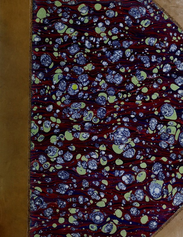digitised image 1