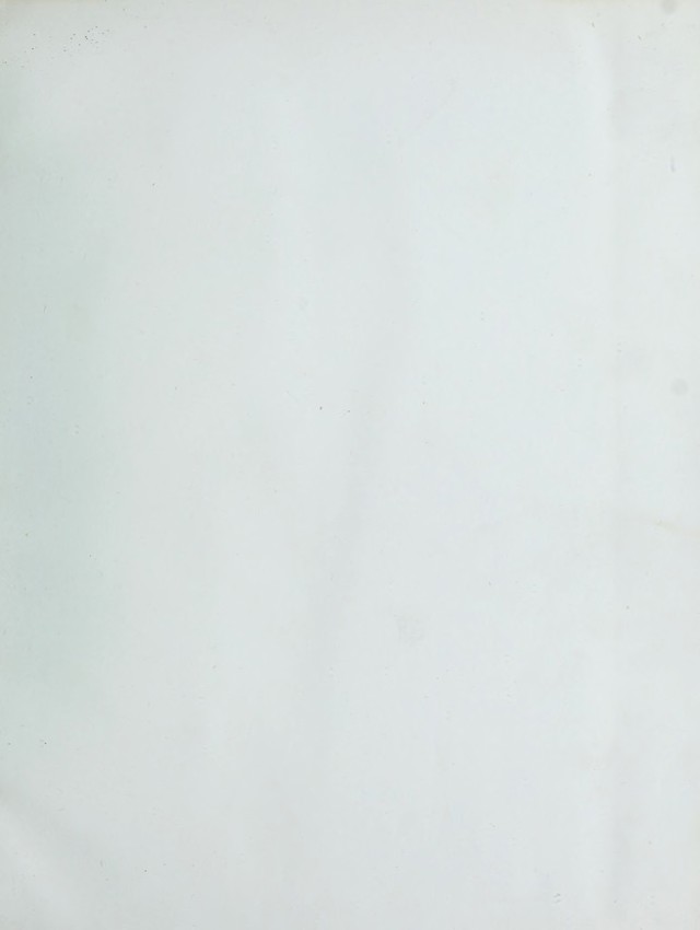 digitised image 3