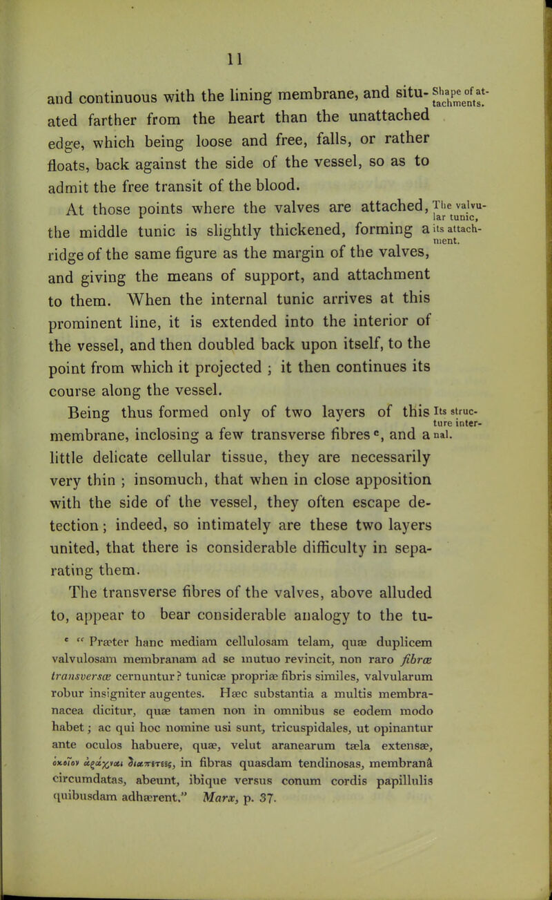 and continuous with the lining membrane, and situ-of at- ated farther from the heart than the unattached edge, which being loose and free, falls, or rather floats, back against the side of the vessel, so as to admit the free transit of the blood. At those points where the valves are attached, pe vaivu- * lar tunic, the middle tunic is slightly thickened, forming aitsattach- ridge of the same figure as the margin of the valves, and giving the means of support, and attachment to them. When the internal tunic arrives at this prominent line, it is extended into the interior of the vessel, and then doubled back upon itself, to the point from which it projected ; it then continues its course along the vessel. Being thus formed only of two layers of this its struc- ° # ture inter- membrane, inclosing a few transverse fibres0, and anal. little delicate cellular tissue, they are necessarily very thin ; insomuch, that when in close apposition with the side of the vessel, they often escape de- tection ; indeed, so intimately are these two layers united, that there is considerable difficulty in sepa- rating them. The transverse fibres of the valves, above alluded to, appear to bear considerable analogy to the tu- c cc pra?ter hanc raediam cellulosam telam, quae duplicem valvulosam membranam ad se mutuo revincit, non raro fibrce iransversce cernuntur? tunicae propriae fibris similes, valvularum robur insigniter augentes. Haec substantia a multis membra- nacea dicitur, quae tamen non in omnibus se eodem modo habet; ac qui hoc nomine usi sunt, tricuspidales, ut opinantur ante oculos habuere, quae, velut aranearum taela extensae, ohoTov u£oi%vcu 2<«r.7rmss, in fibras quasdam tendinosas, membrane circumdatas, abeunt, ibique versus conum cordis papillulis quibusdam adhaerent.” Marx, p. 37-