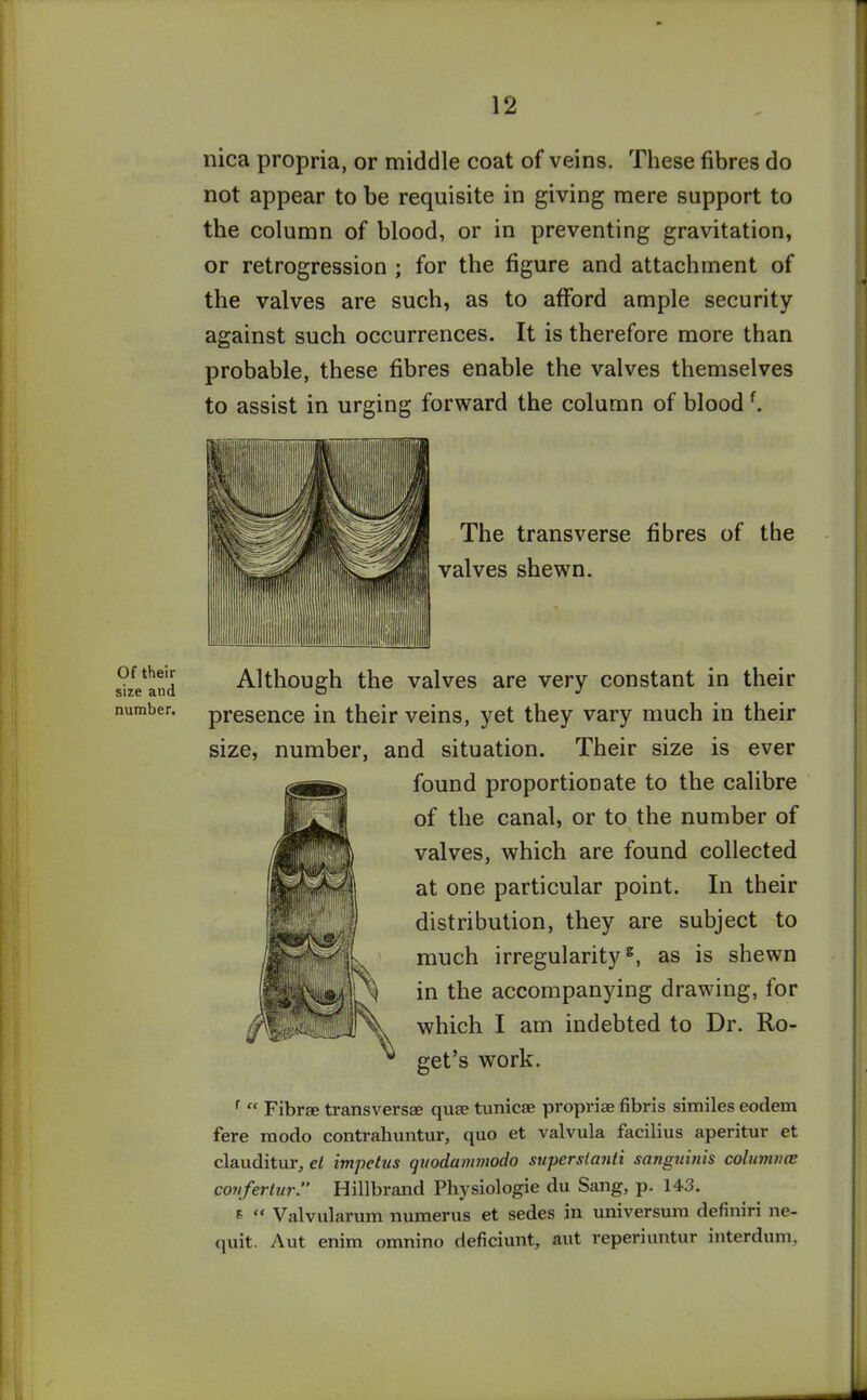 Of their size and number. nica propria, or middle coat of veins. These fibres do not appear to be requisite in giving mere support to the column of blood, or in preventing gravitation, or retrogression ; for the figure and attachment of the valves are such, as to afford ample security against such occurrences. It is therefore more than probable, these fibres enable the valves themselves to assist in urging forward the column of blood f. The transverse fibres of the valves shewn. Although the valves are very constant in their presence in their veins, yet they vary much in their size, number, and situation. Their size is ever found proportionate to the calibre of the canal, or to the number of valves, which are found collected at one particular point. In their distribution, they are subject to much irregularity8, as is shewn in the accompanying drawing, for which I am indebted to Dr. Ro- gers work. f “ Fibrae transversae quae tunicae propriae fibris similes eodem fere modo contrahuntur, quo et valvula facilius aperitur et clauditur, cl impetus quodammodo superstanli sanguinis columna: confertur. Hillbrand Physiologie du Sang, p. 143. E “ Valvularum numerus et sedes in universum definiri ne- quit. Aut enim omnino deficiunt, aut reperiuntur interdum.