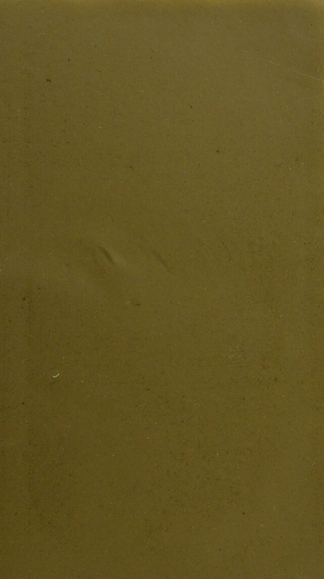 digitised image 3